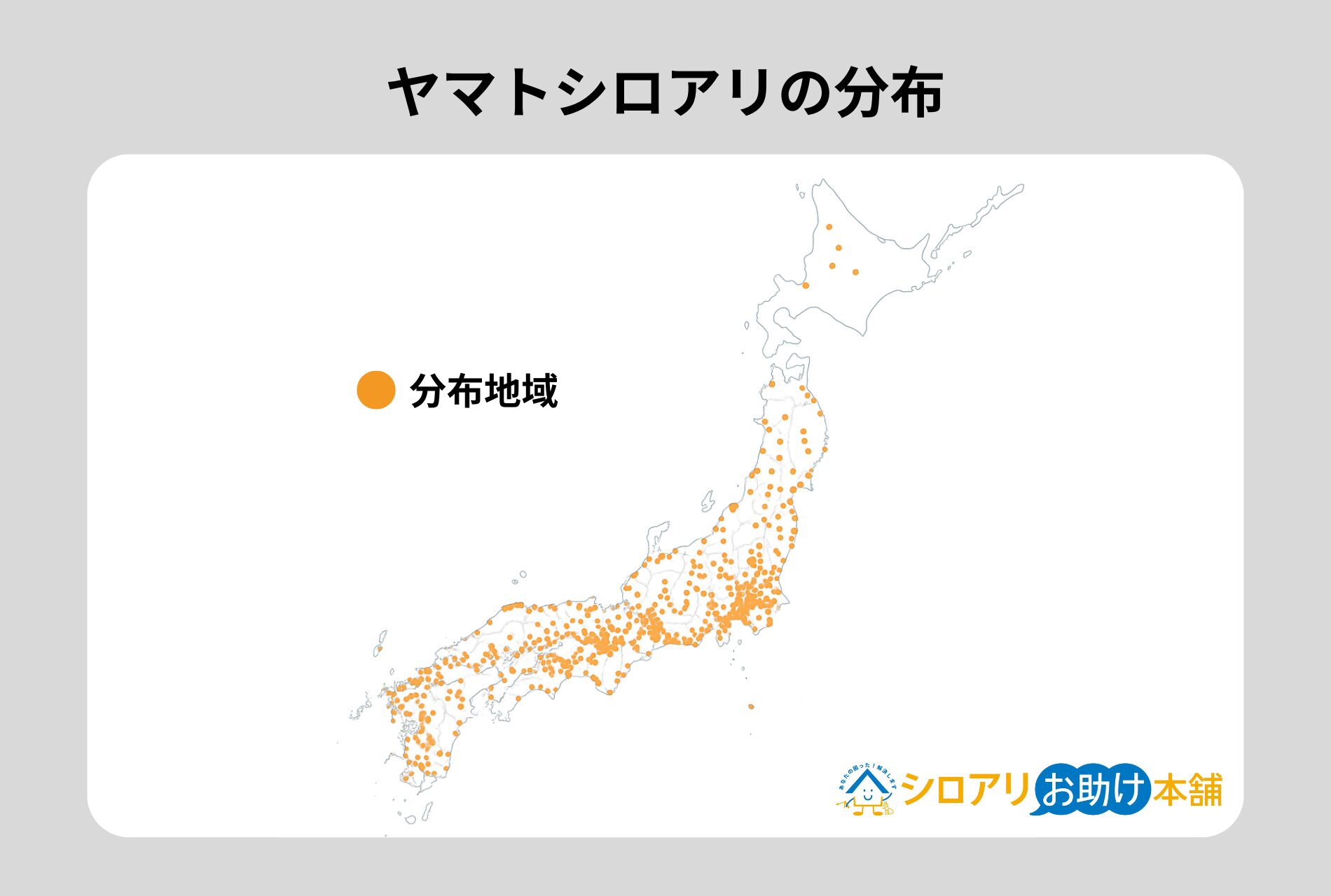 ヤマトシロアリの分布