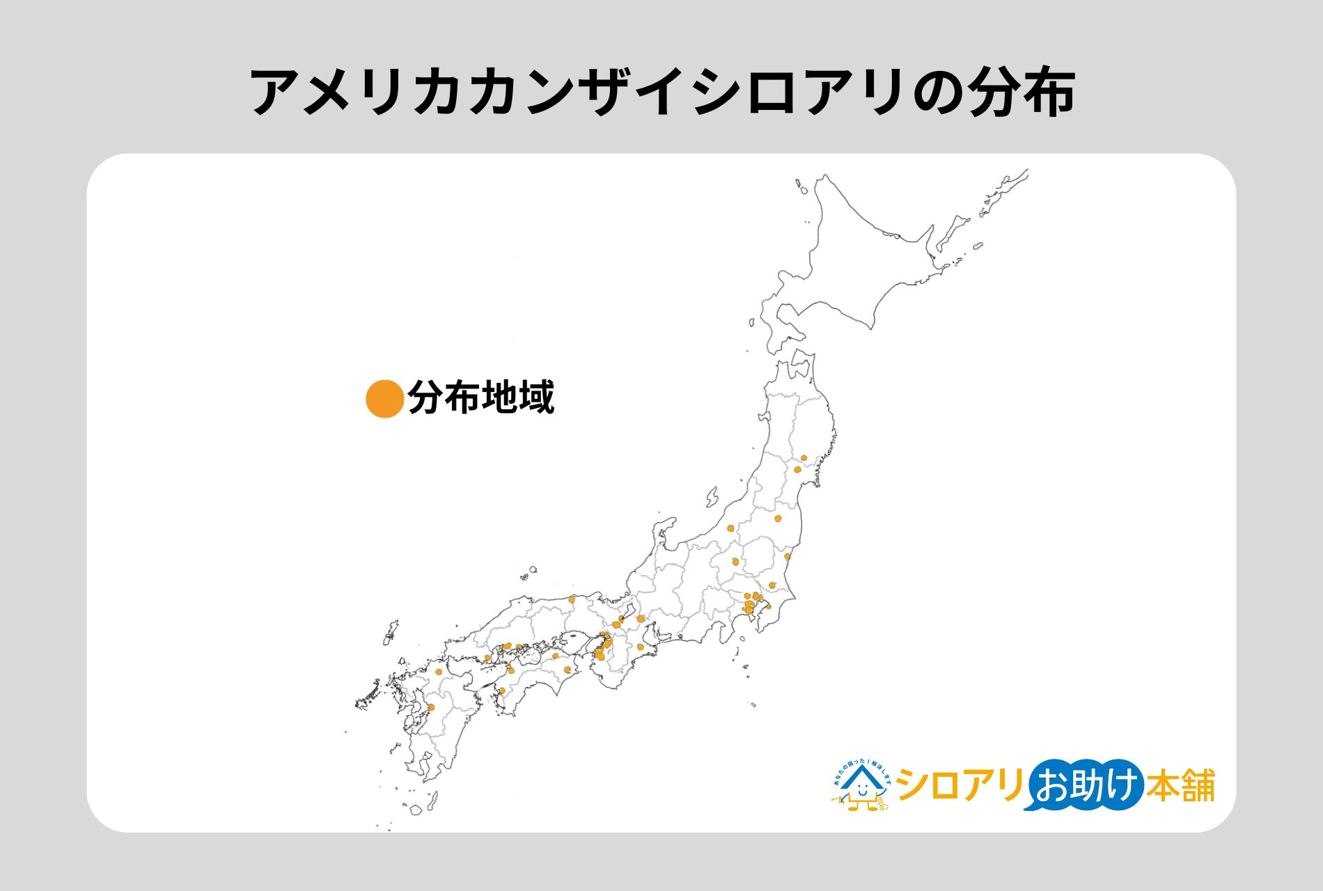 アメリカカンザイシロアリの分布