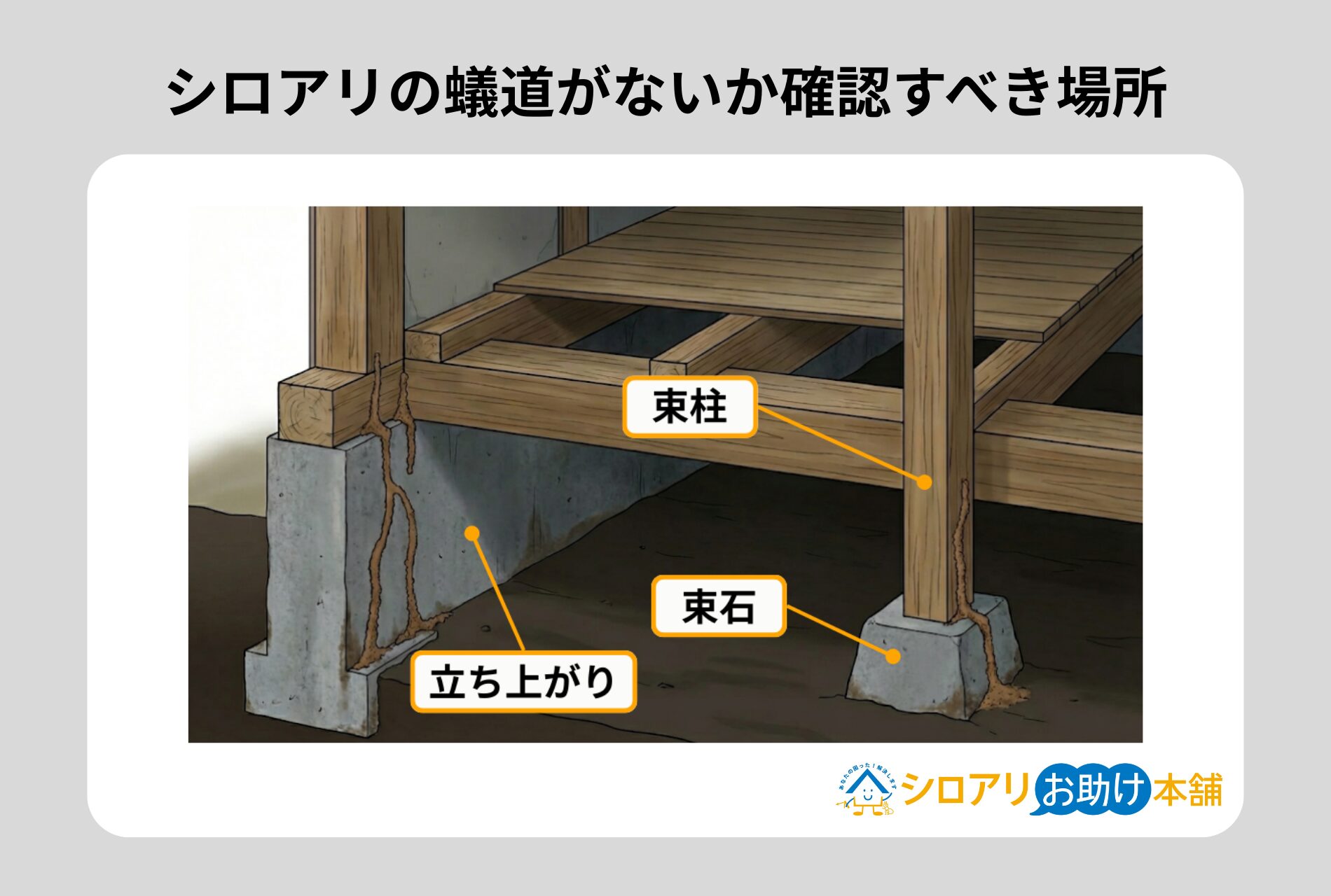 シロアリの蟻道がないか確認すべき場所
