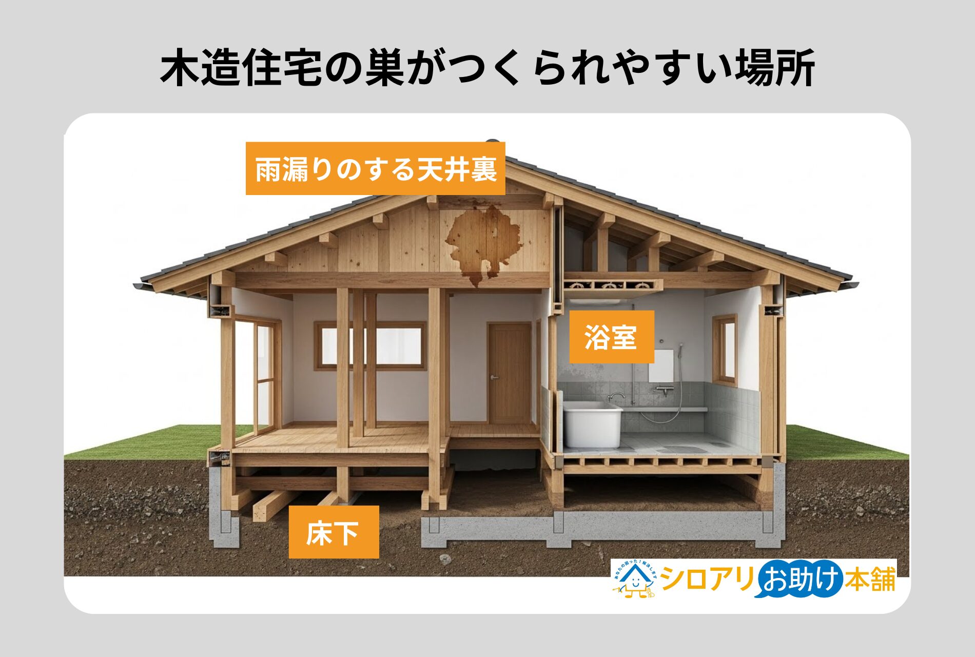 木造住宅の巣がつくられやすい場所