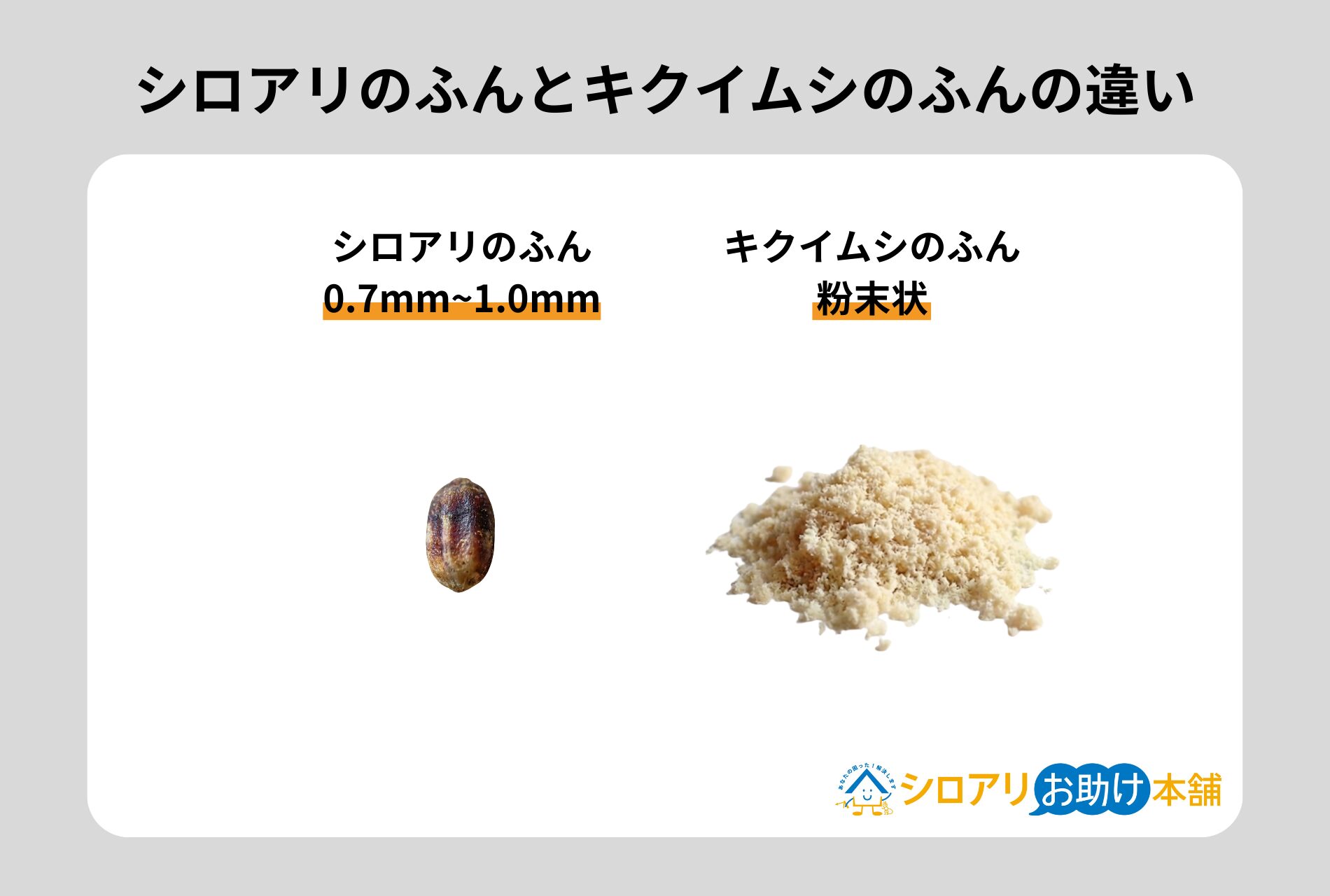 シロアリとキクイムシのふんの違い