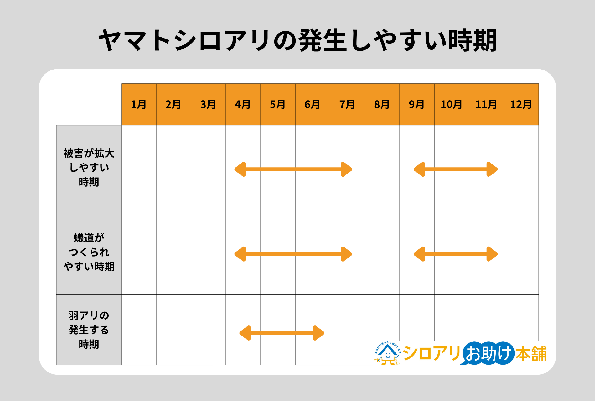 ヤマトシロアリの発生しやすい時期