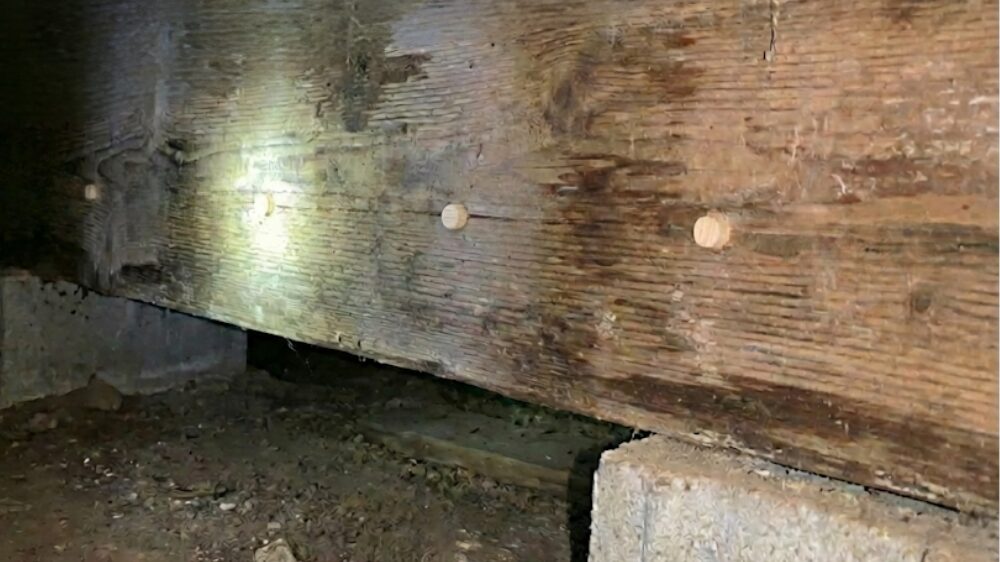 穴を木栓で塞ぐ