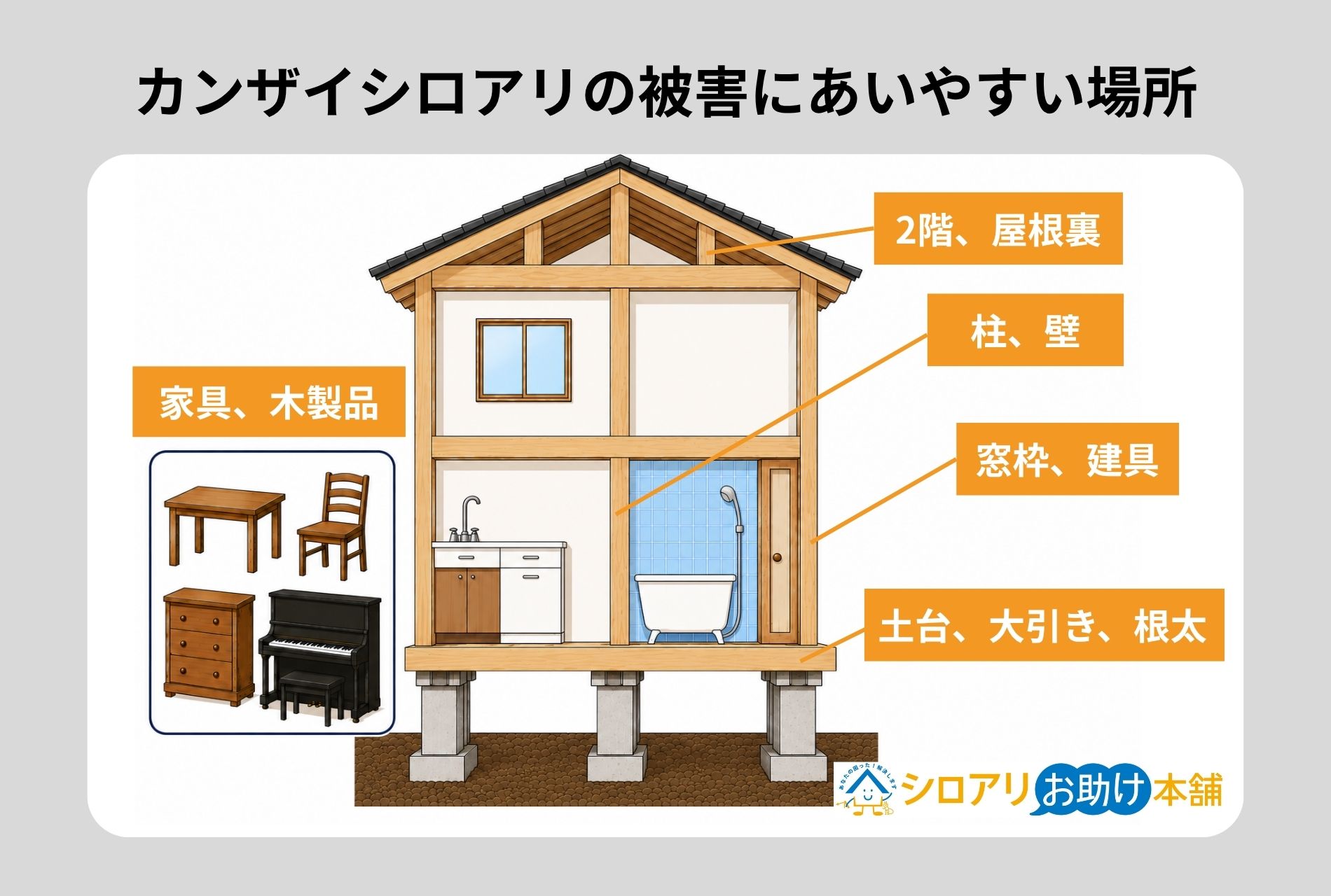 カンザイシロアリの被害にあいやすい場所