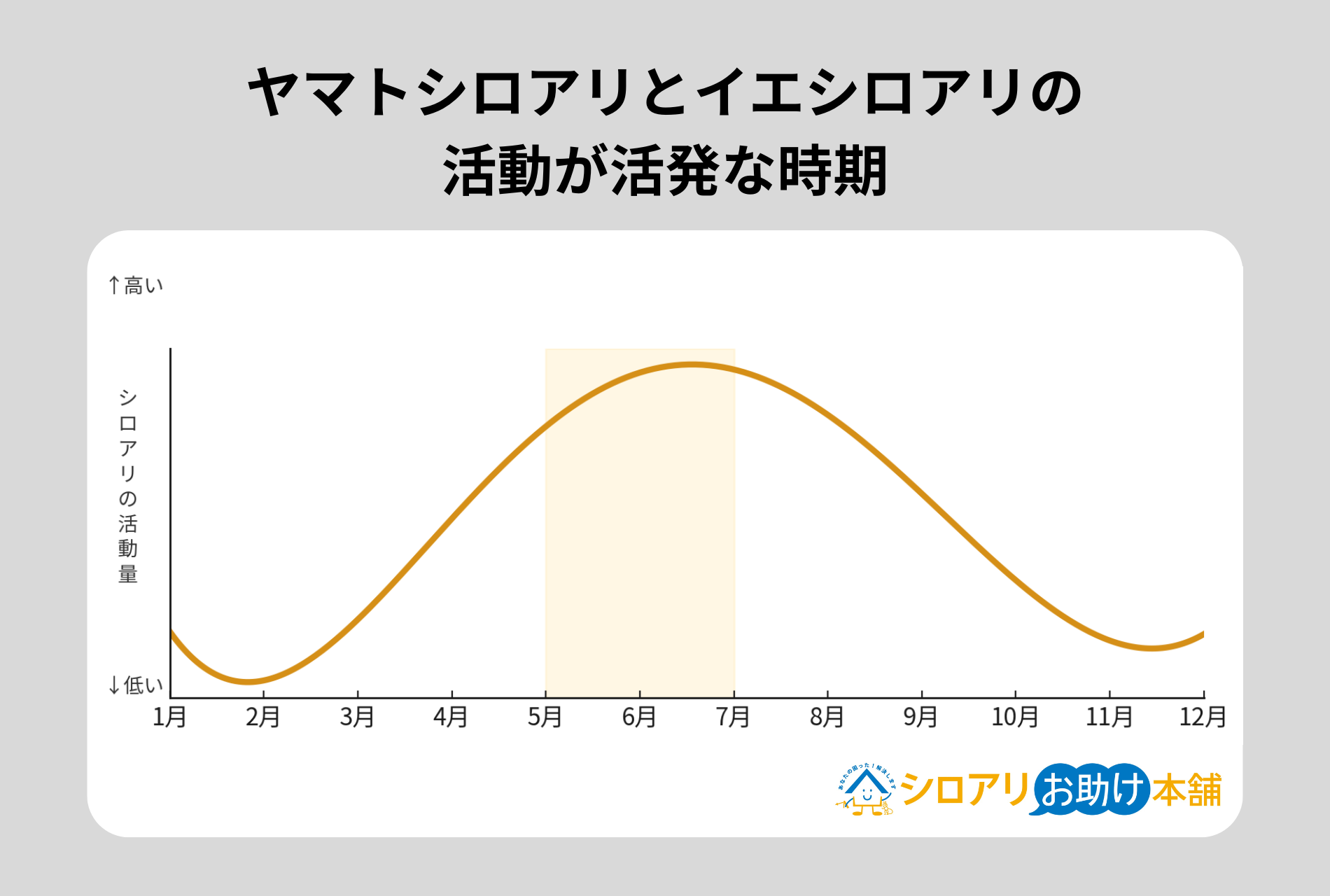マトシロアリとイエシロアリが活発な時期