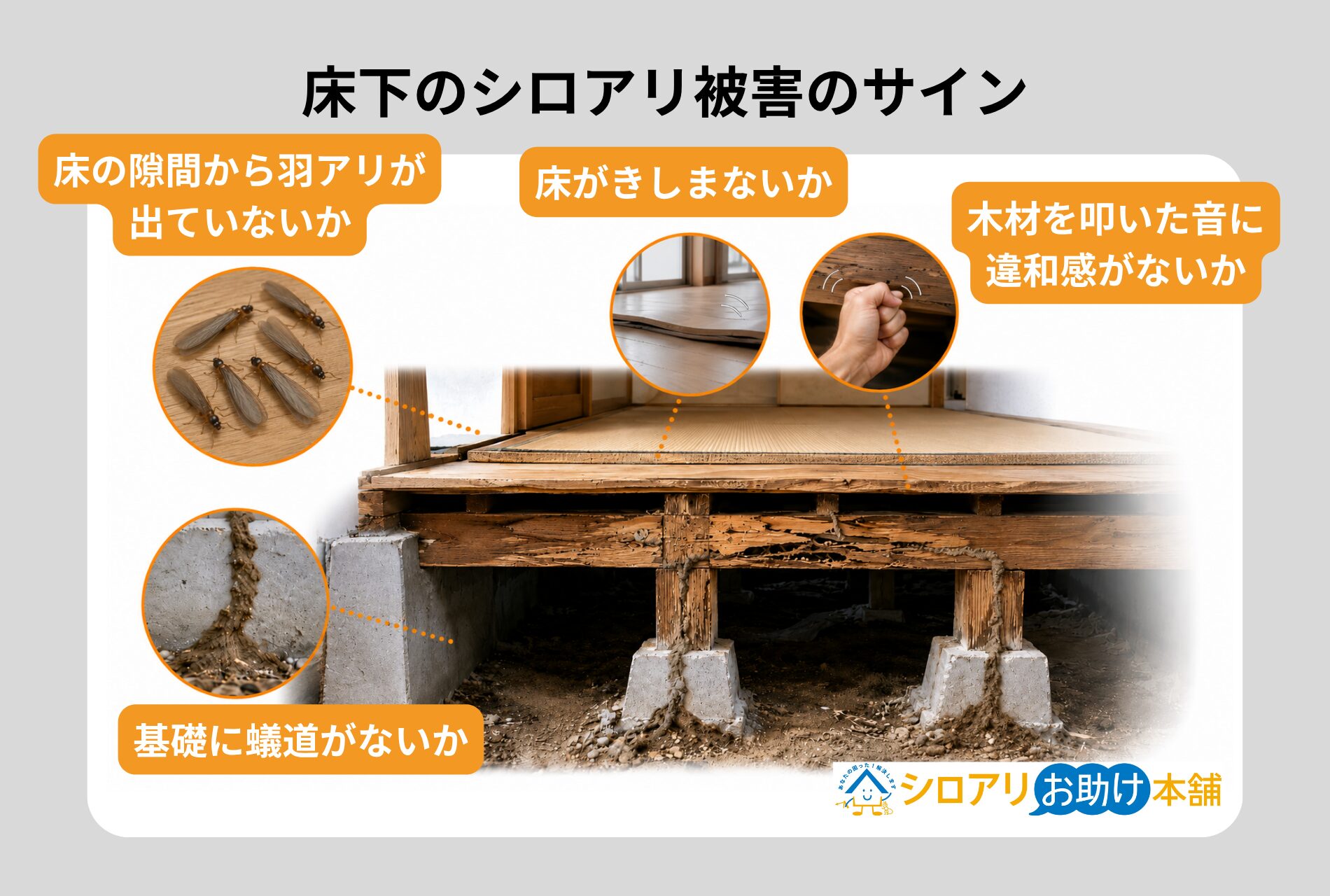 床下のシロアリ被害のサイン