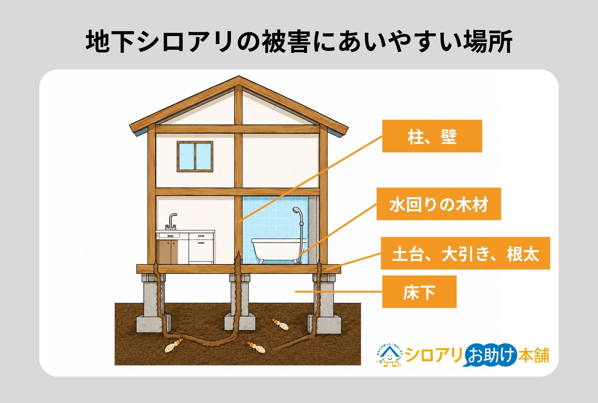 地下シロアリの被害にあいやすい場所