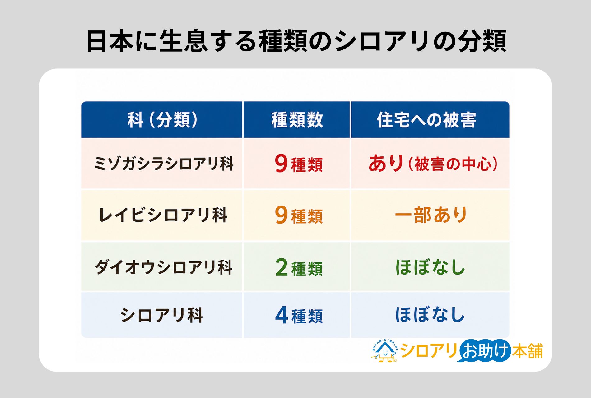 日本に生息する種類のシロアリの分類