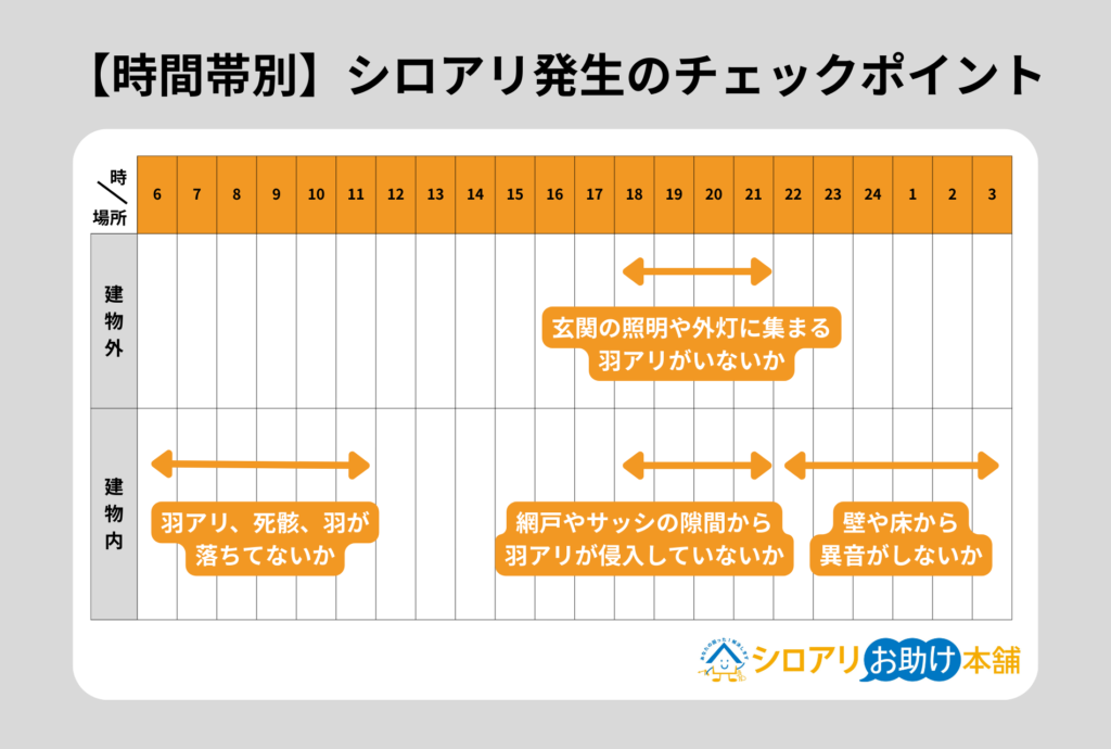 時間帯別シロアリ発生のチェックポイント