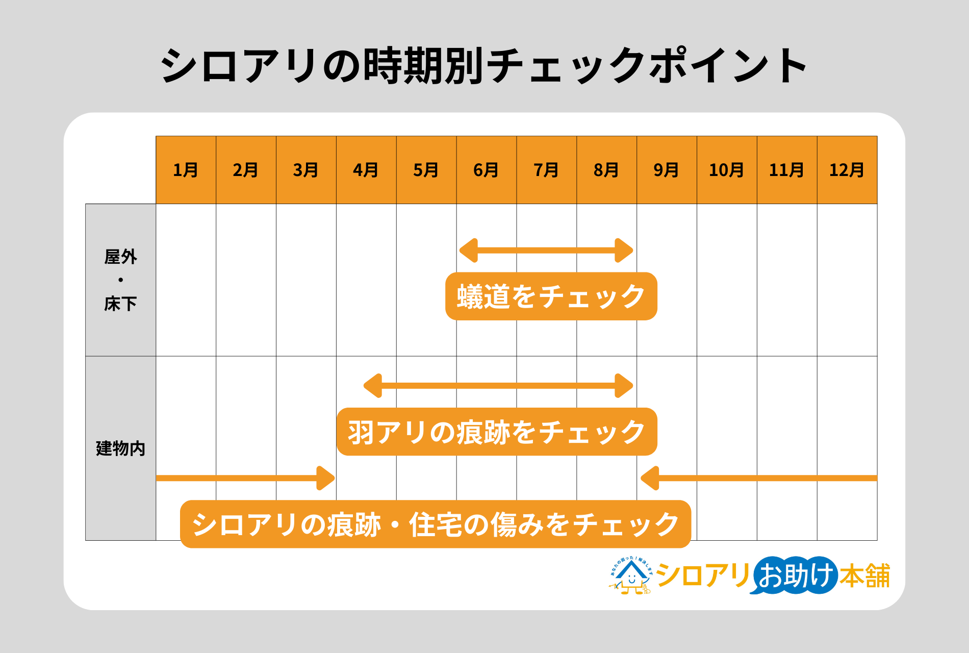 シロアリの時期別チェックポイント
