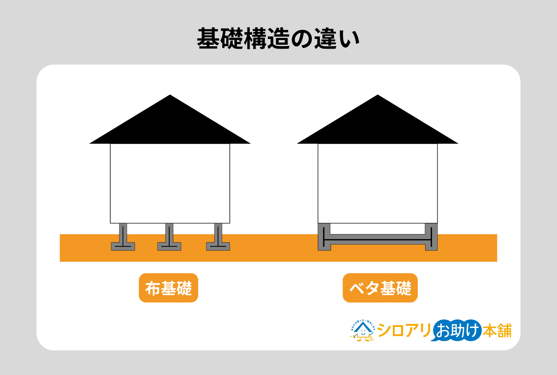 シロアリ_基礎構造の違い
