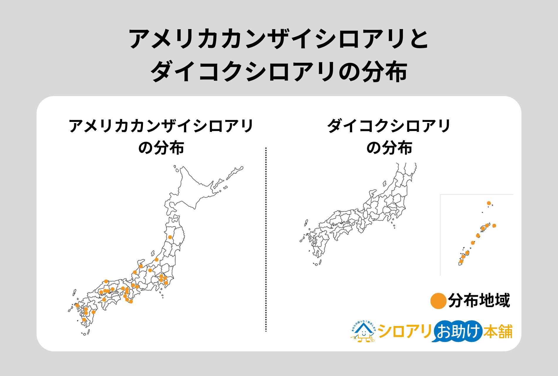 アメリカカンザイシロアリとダイコクシロアリの分布