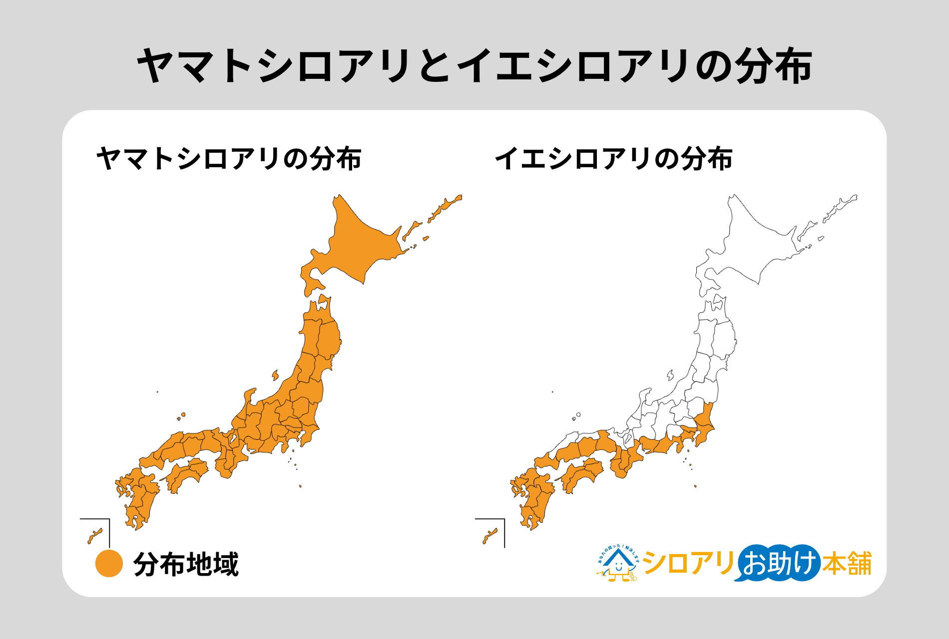ヤマトシロアリとイエシロアリの分布