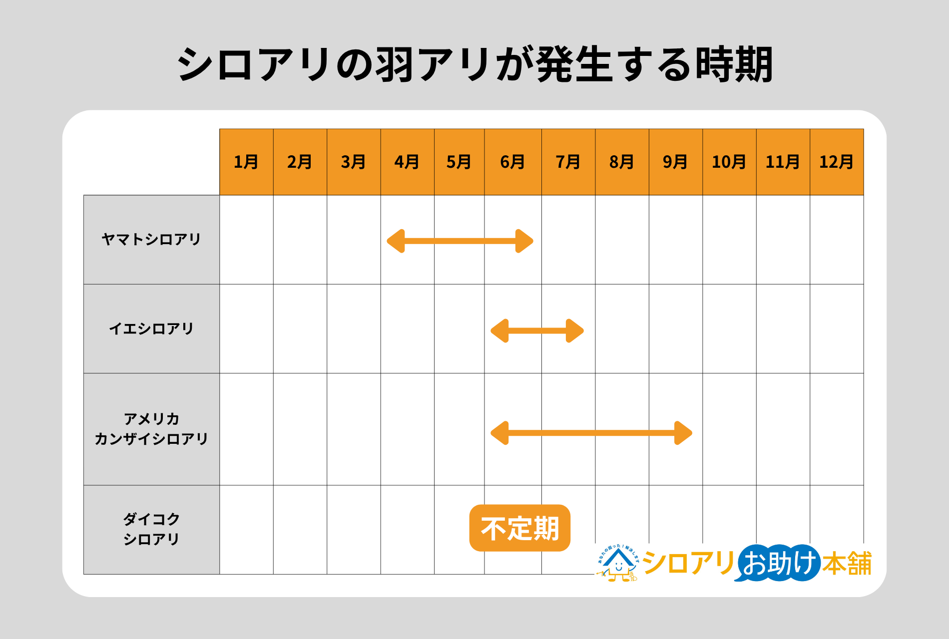 シロアリの羽アリが発生する時期
