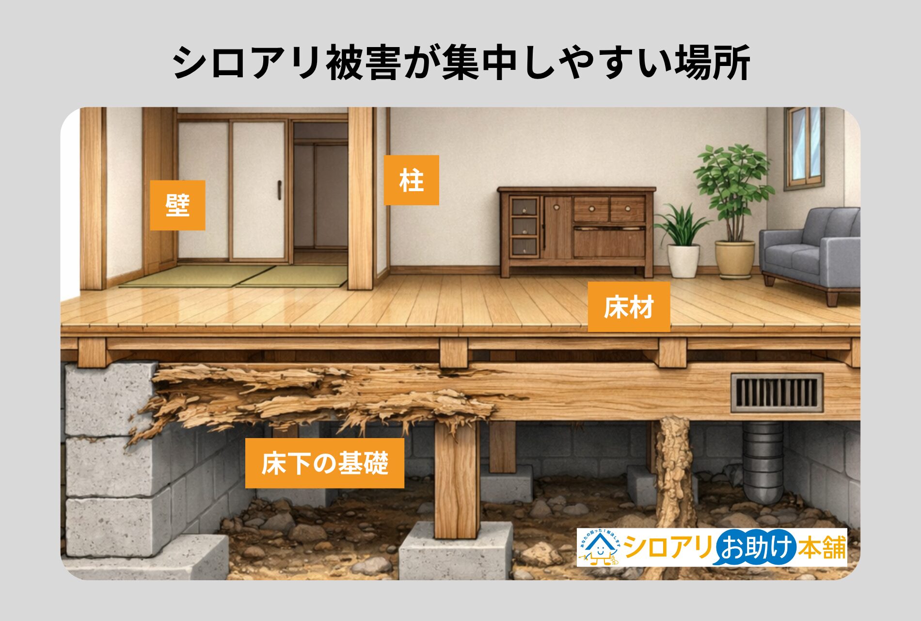被害が集中しやすいのは床下基礎の見えない部分