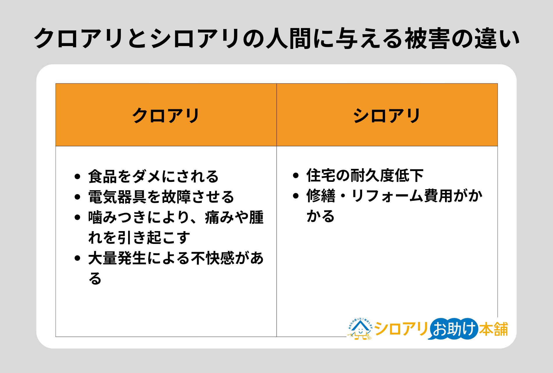 クロアリとシロアリの人間に与える被害の違い