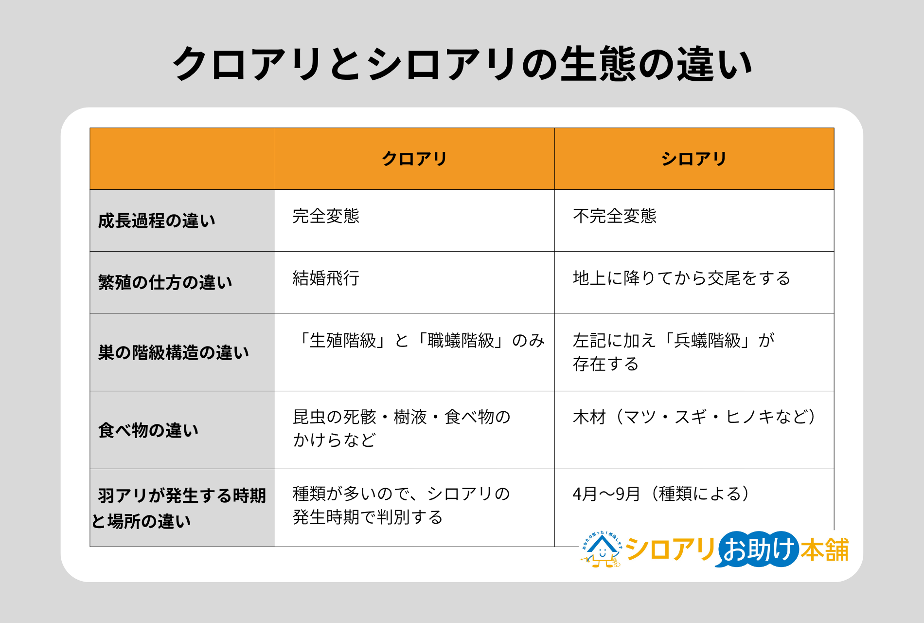 クロアリとシロアリの生態の違い
