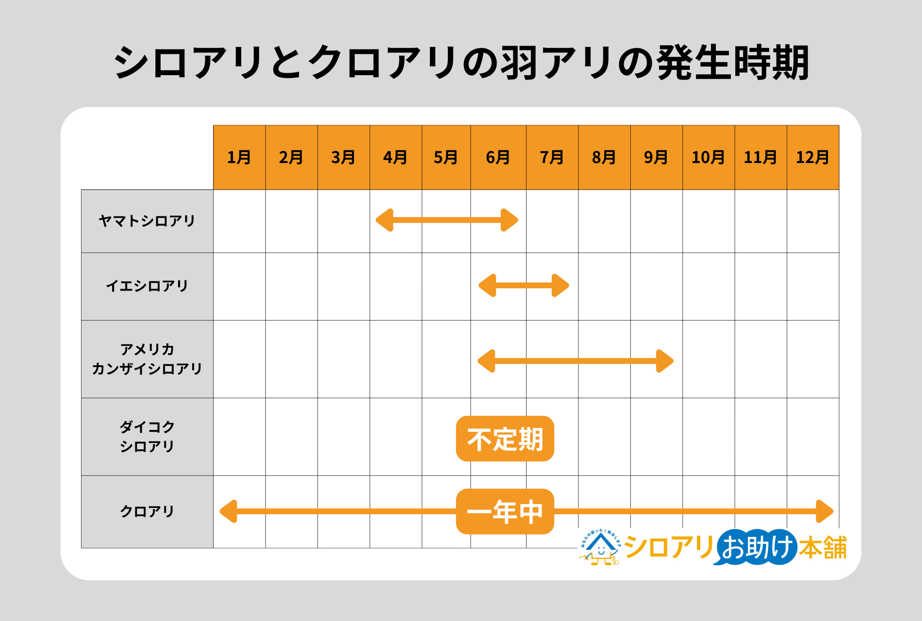 シロアリとクロアリの羽アリの発生時期