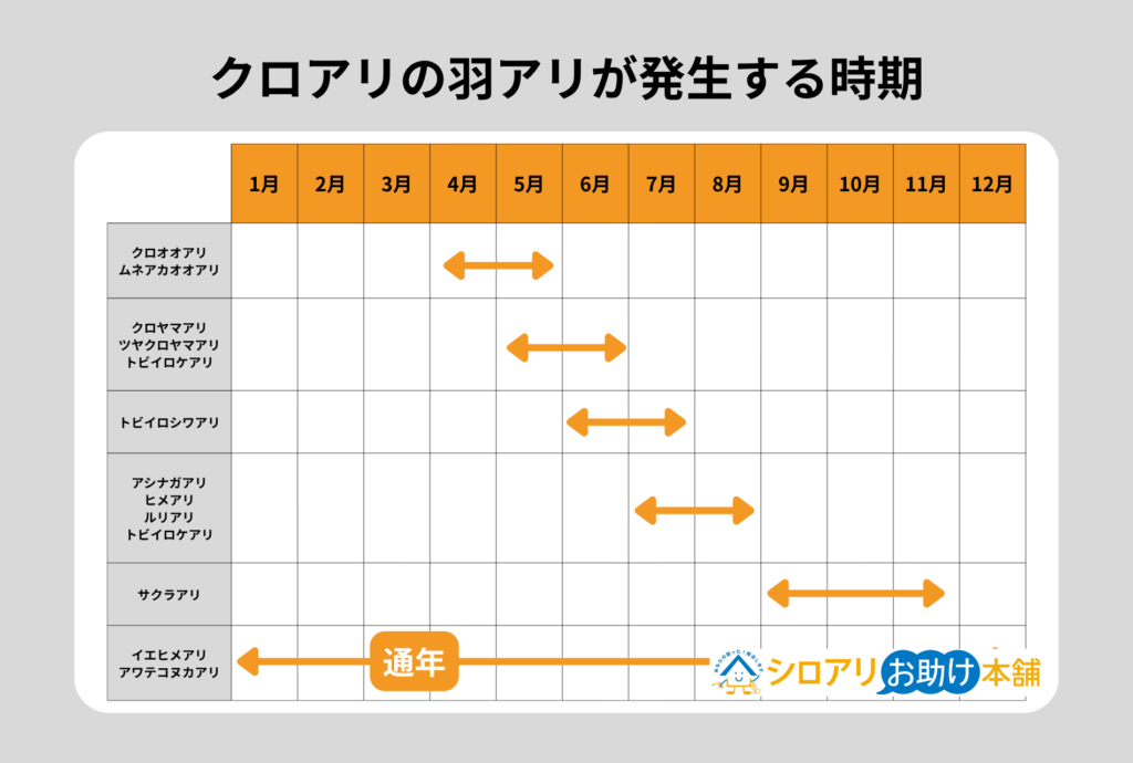 クロアリの羽アリが発生する時期