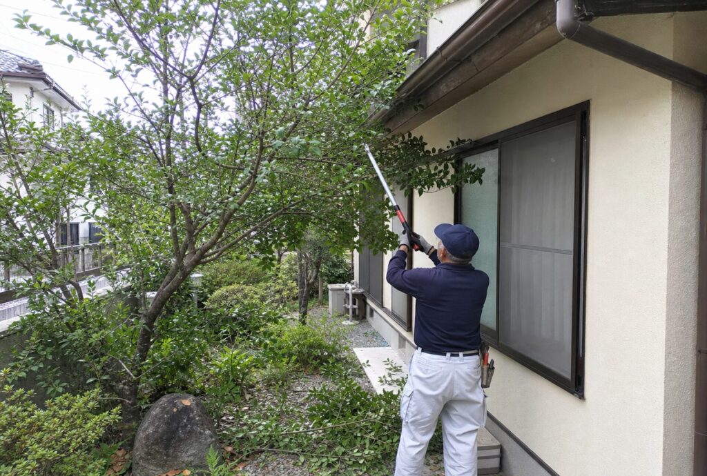 庭木の剪定