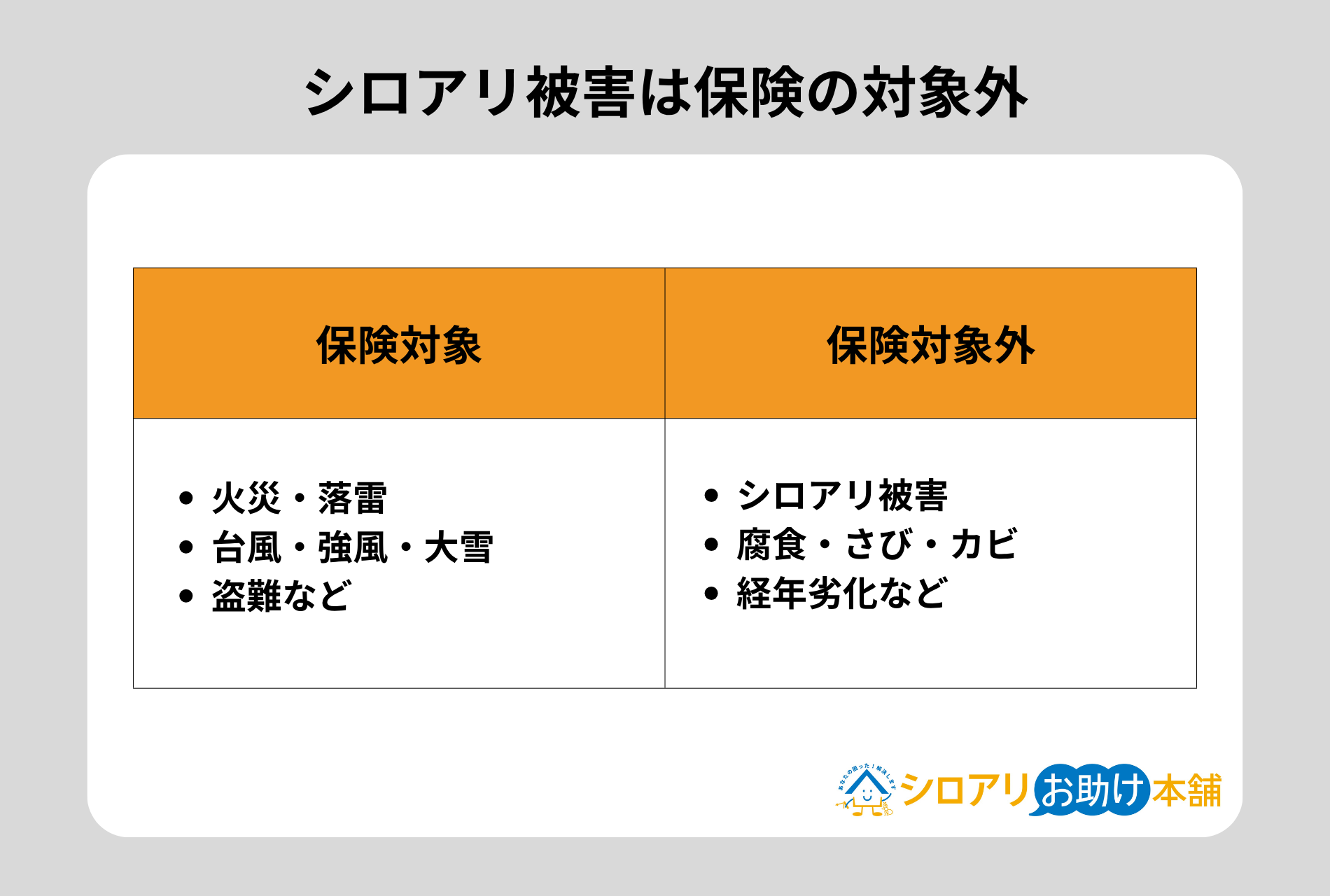 シロアリ被害は保険の対象外