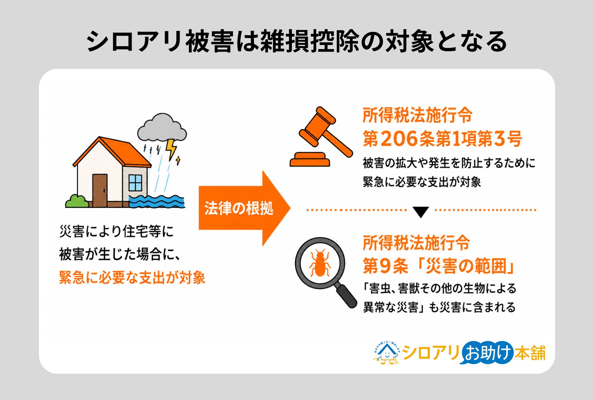 シロアリ被害は雑損控除の対象となる