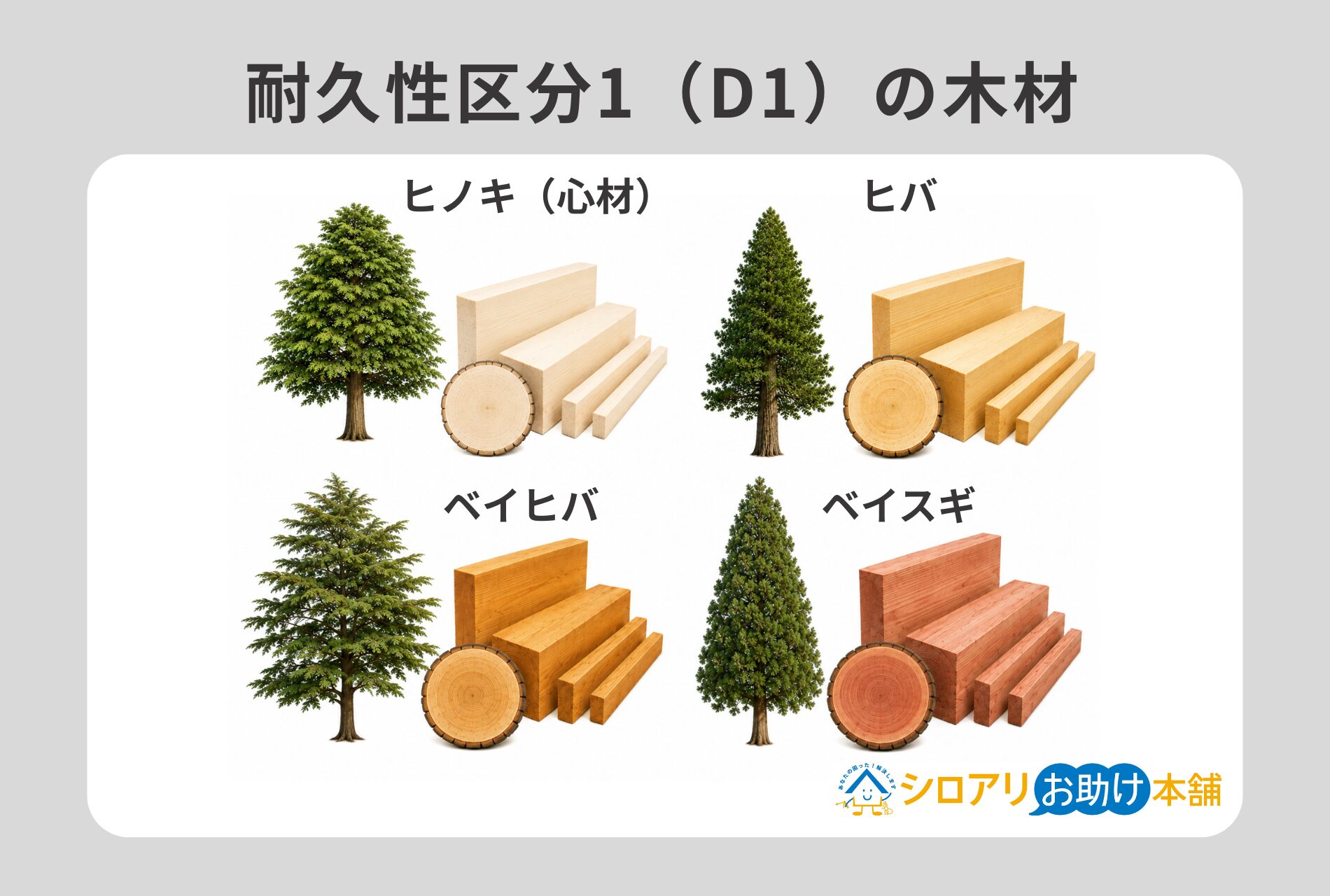 耐久性区分1(D1)の木材