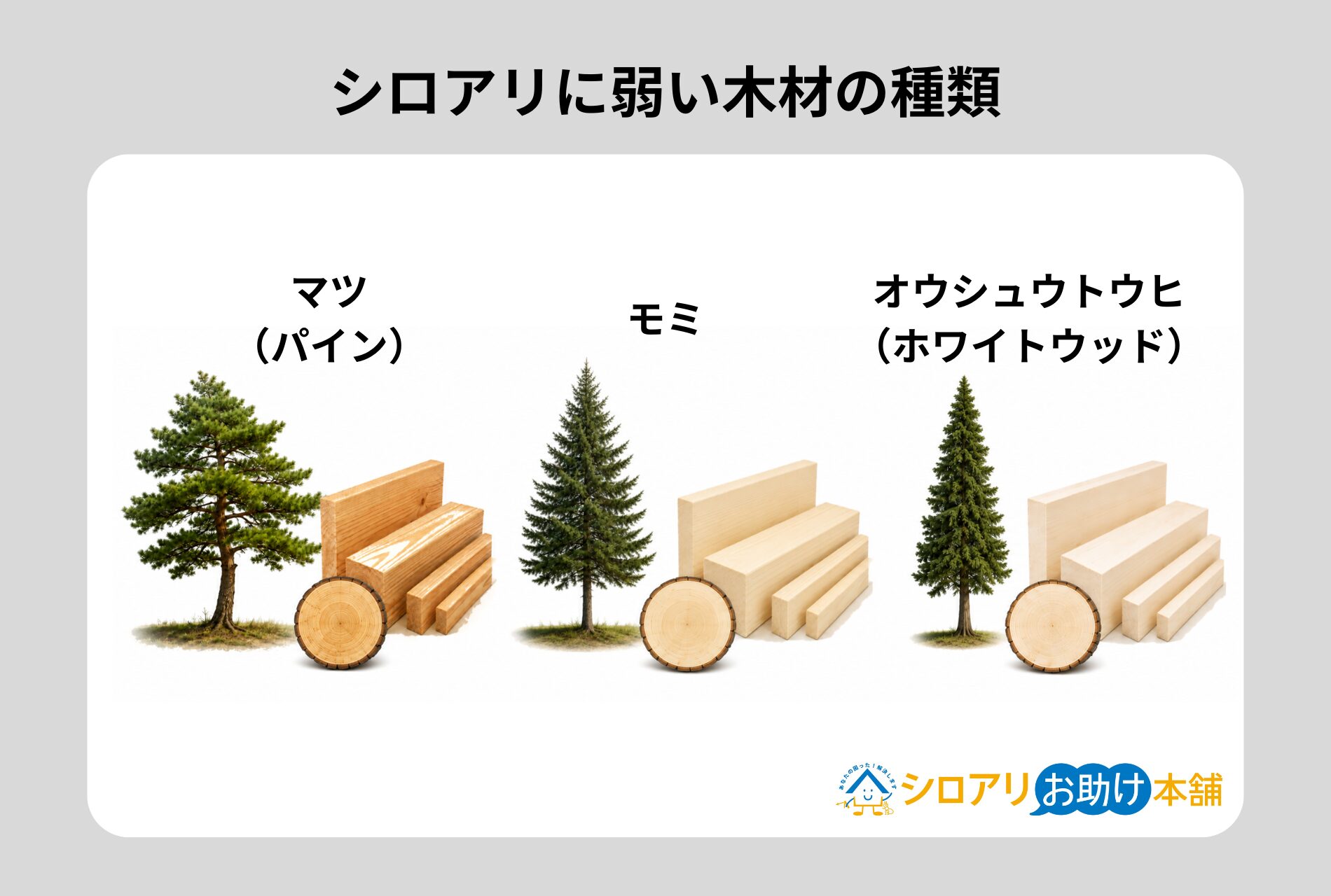 シロアリに弱い木材の種類
