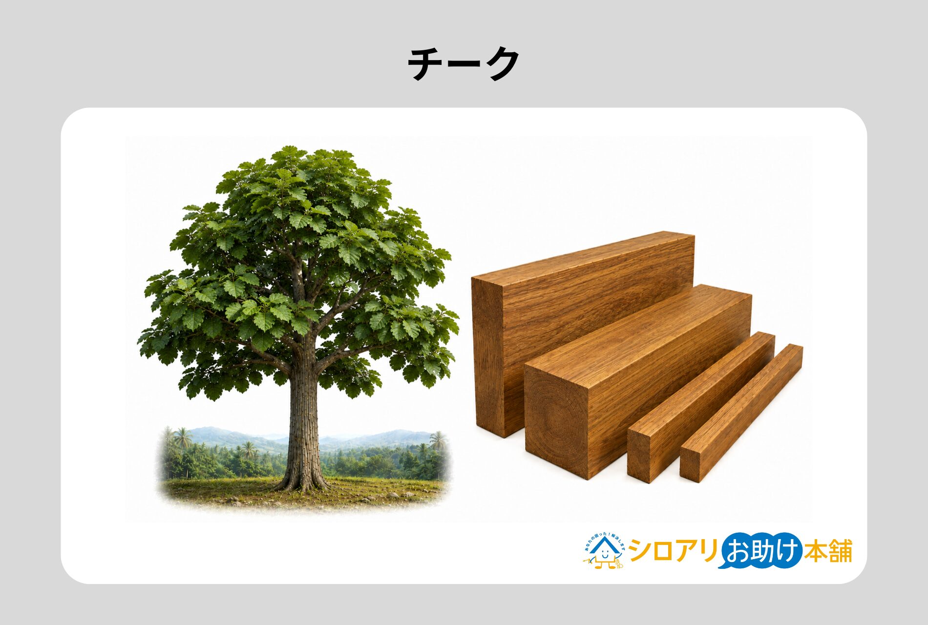 チーク