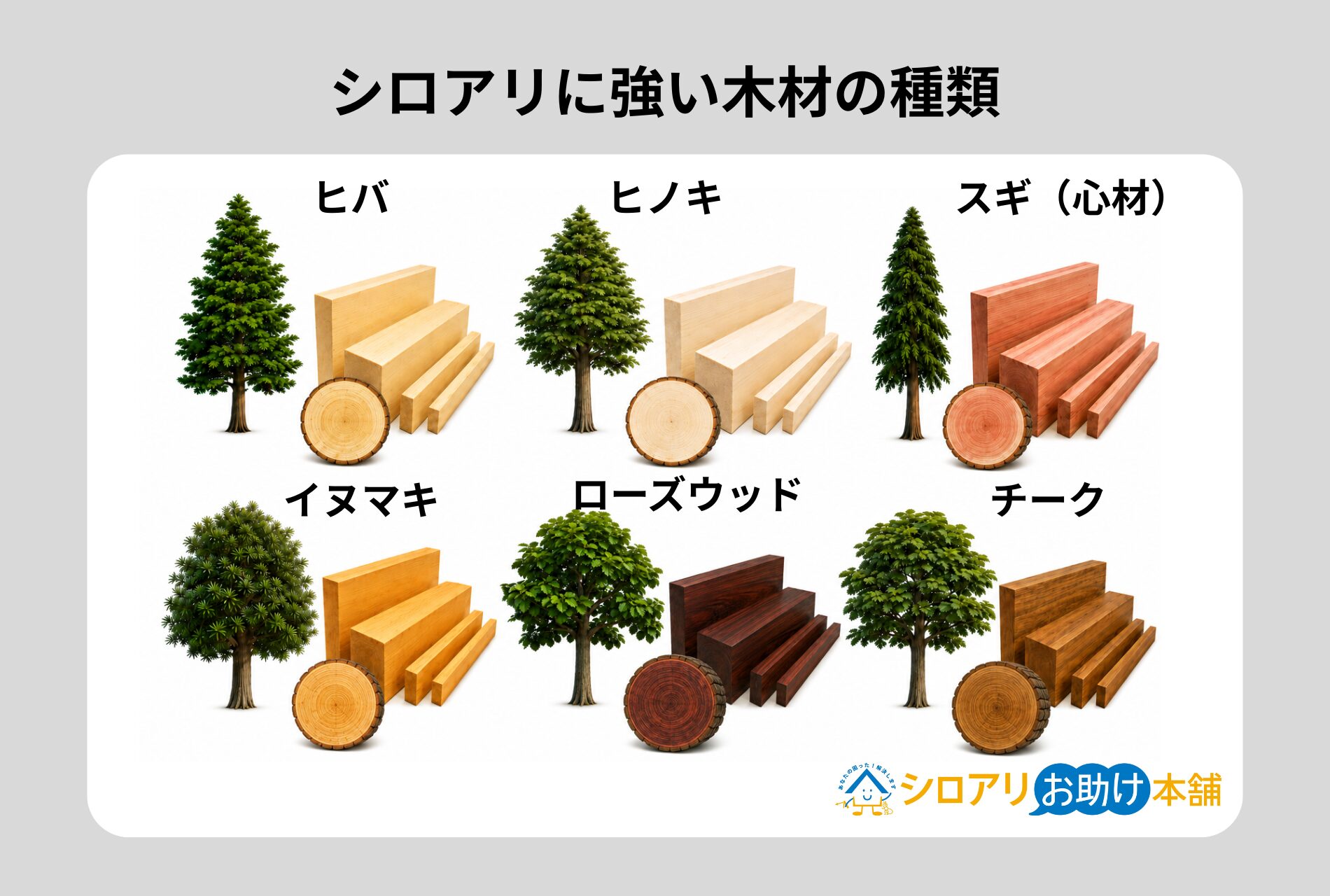 シロアリに強い木材の種類
