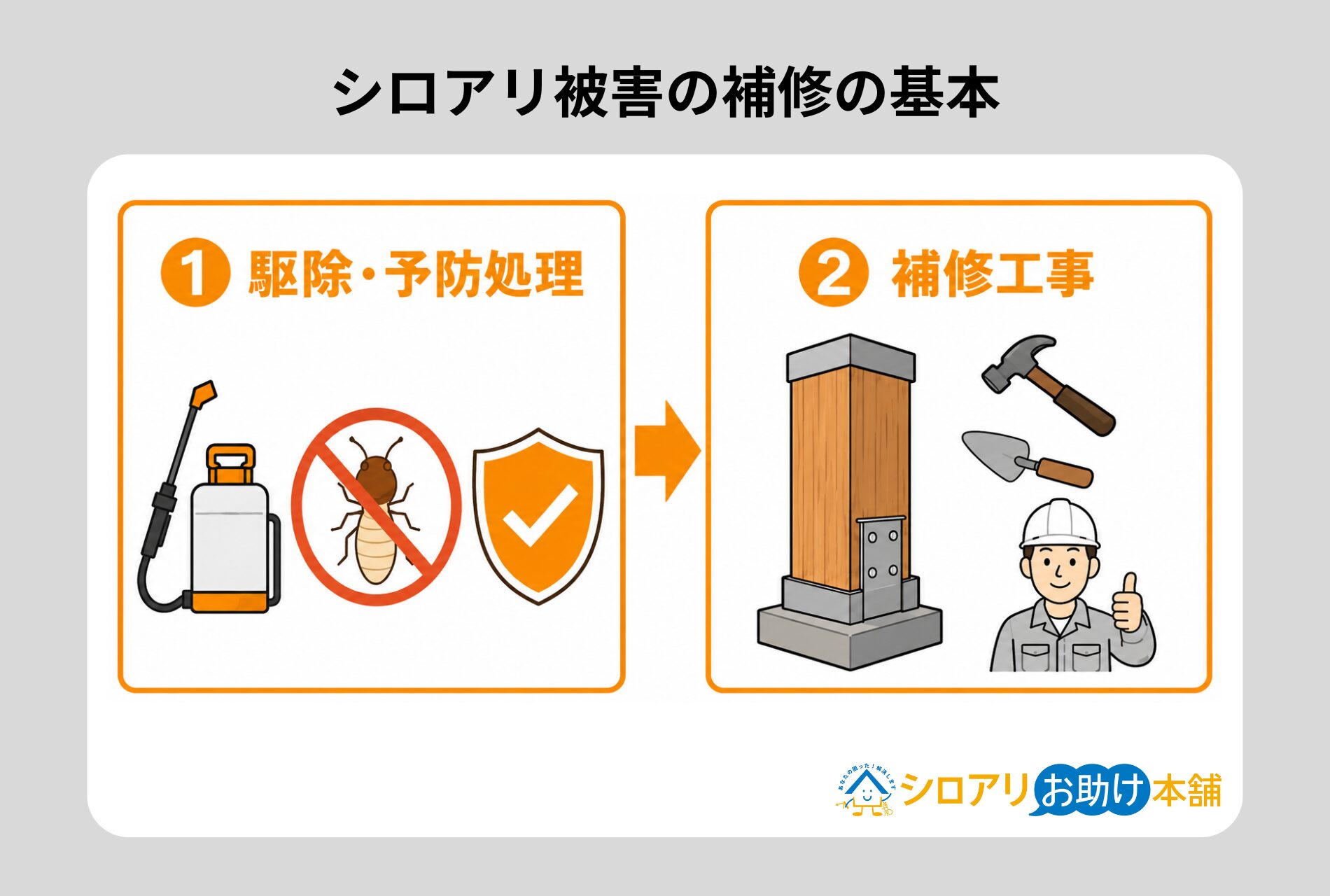 シロアリ被害にの補修の基本
