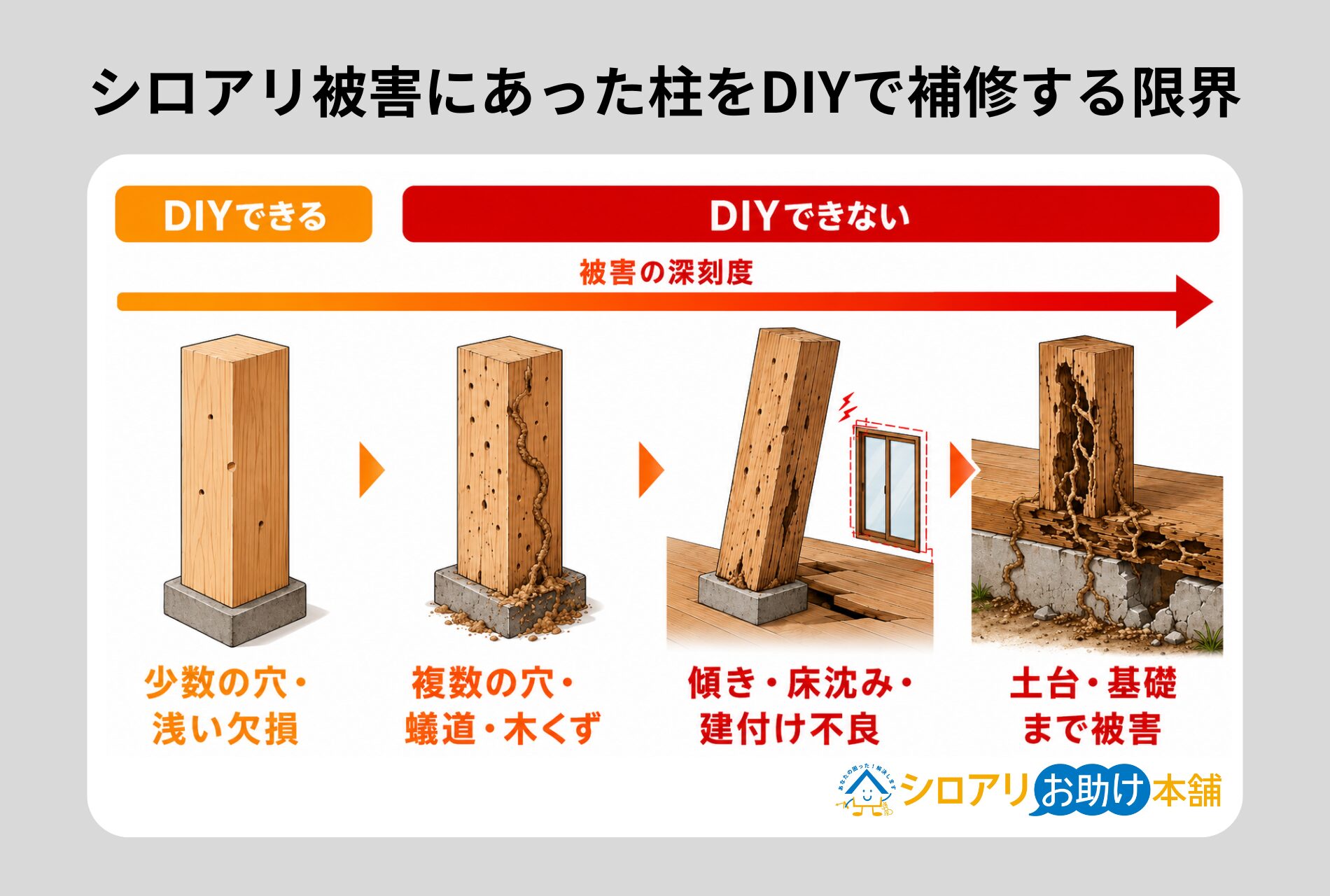 プロが監修】シロアリ被害にあった柱の補修方法を徹底解説｜DIY・パテ
