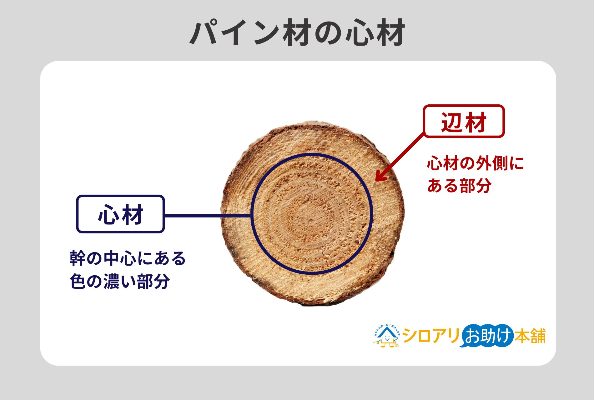 パイン材の心材