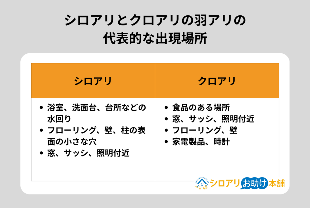 シロアリとクロアリの羽アリの代表的な出現場所