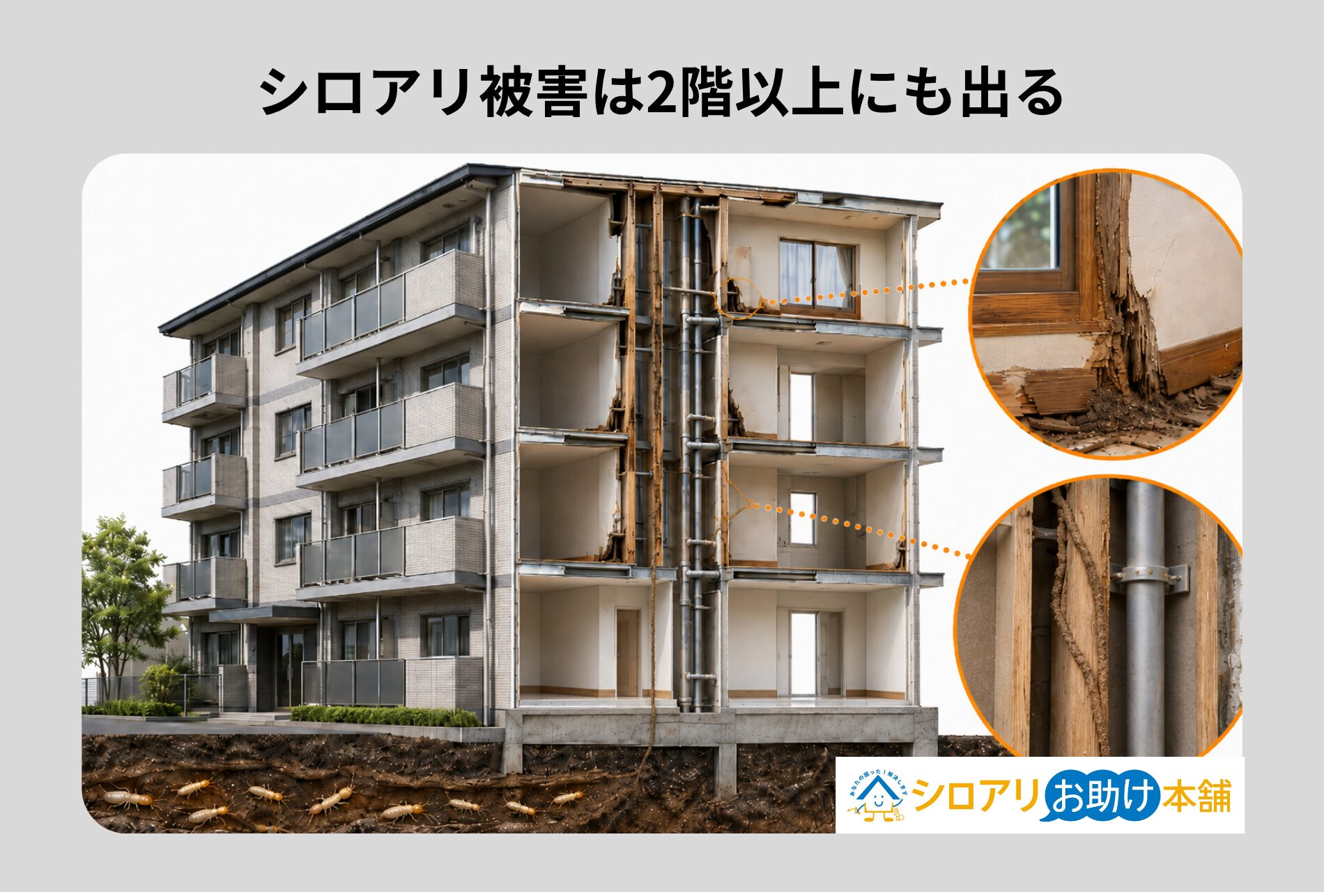 シロアリ被害は2階以上にも出る