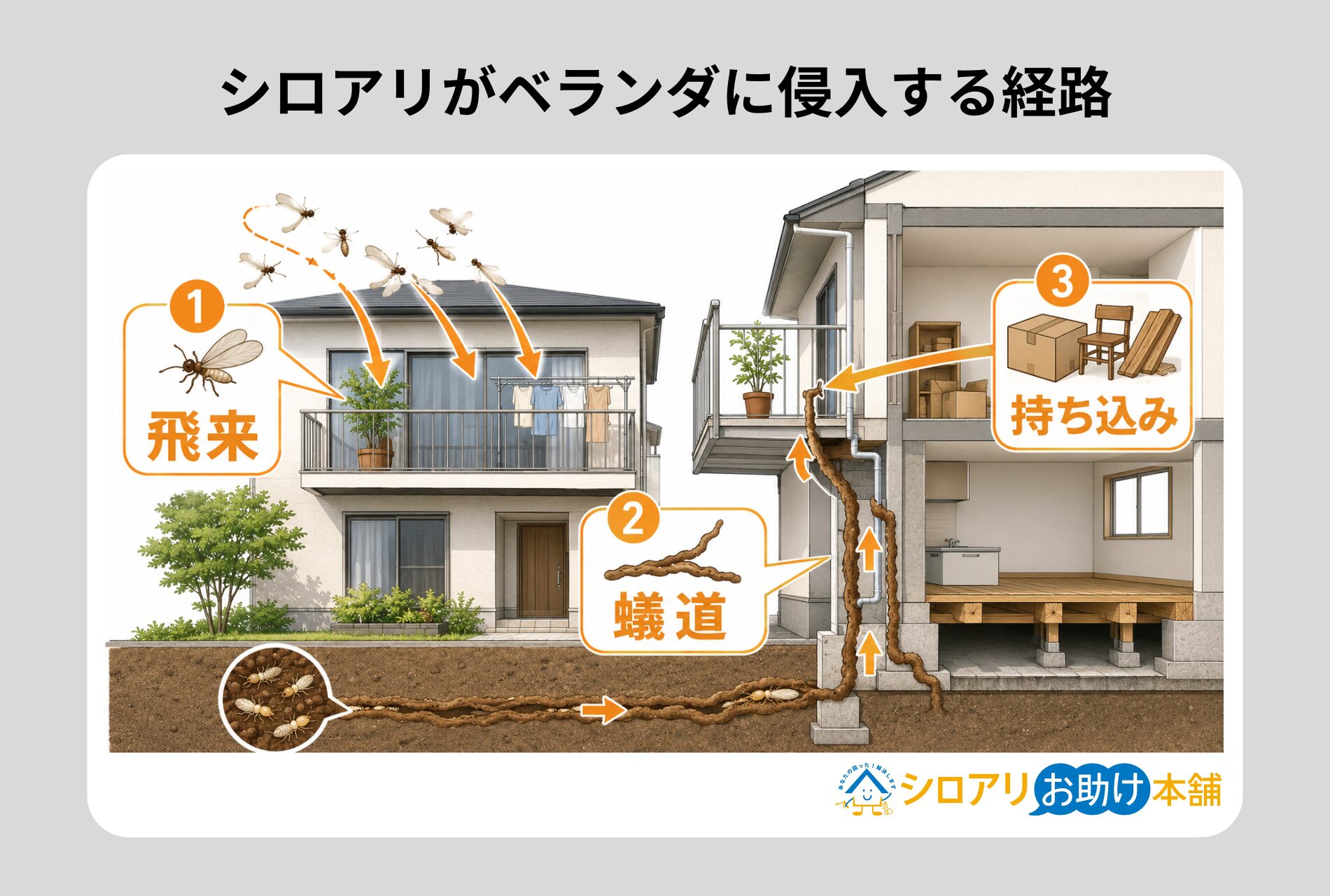 シロアリがベランダに侵入する経路