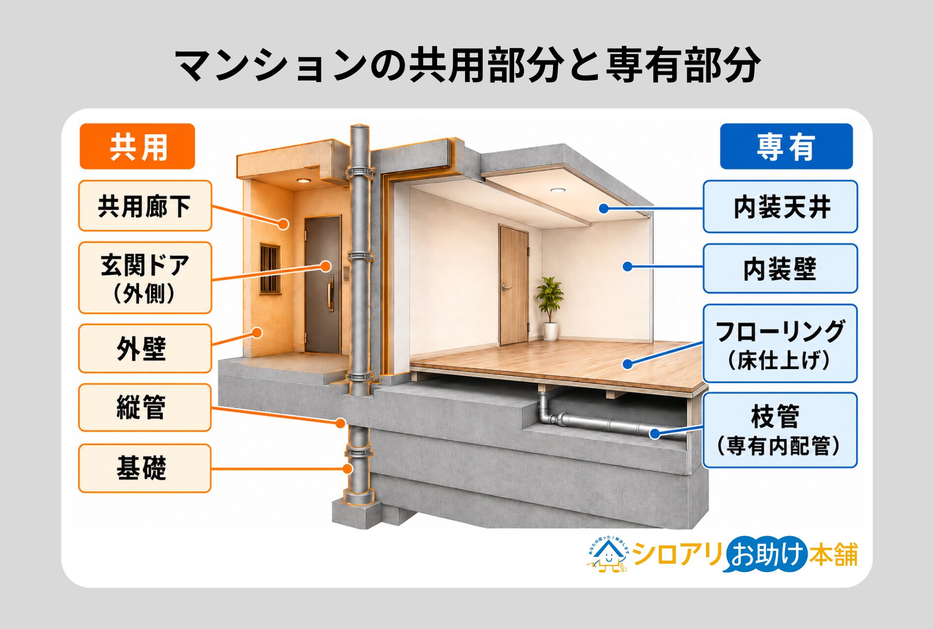 マンションの共用部分と専有部分