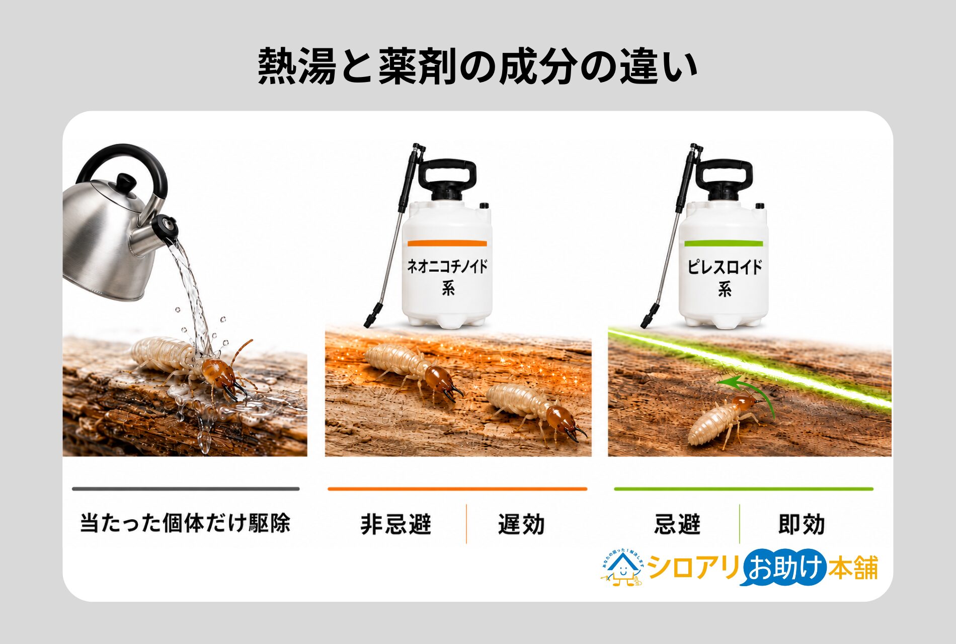熱湯と薬剤の成分の違い