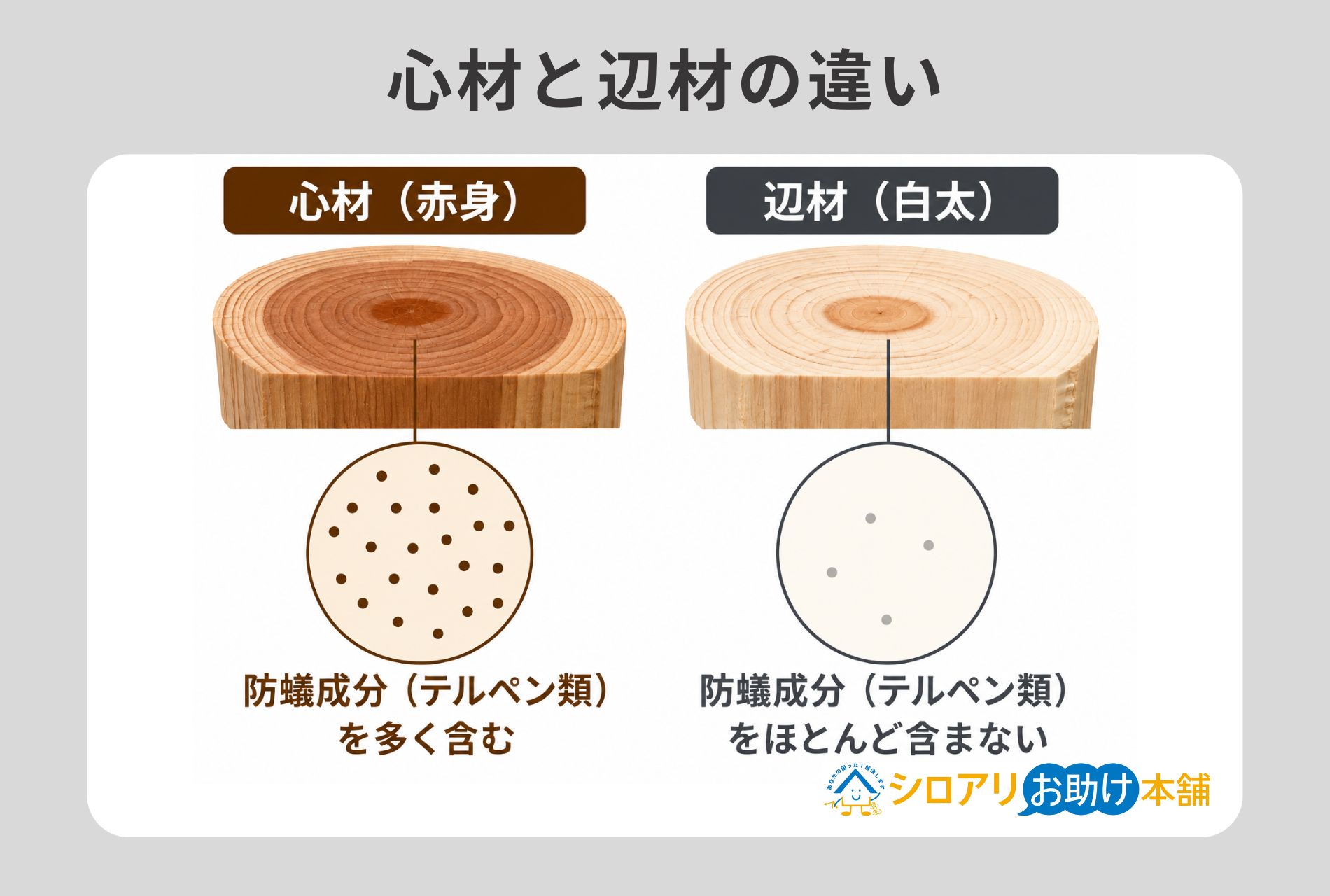 心材と辺材の違い