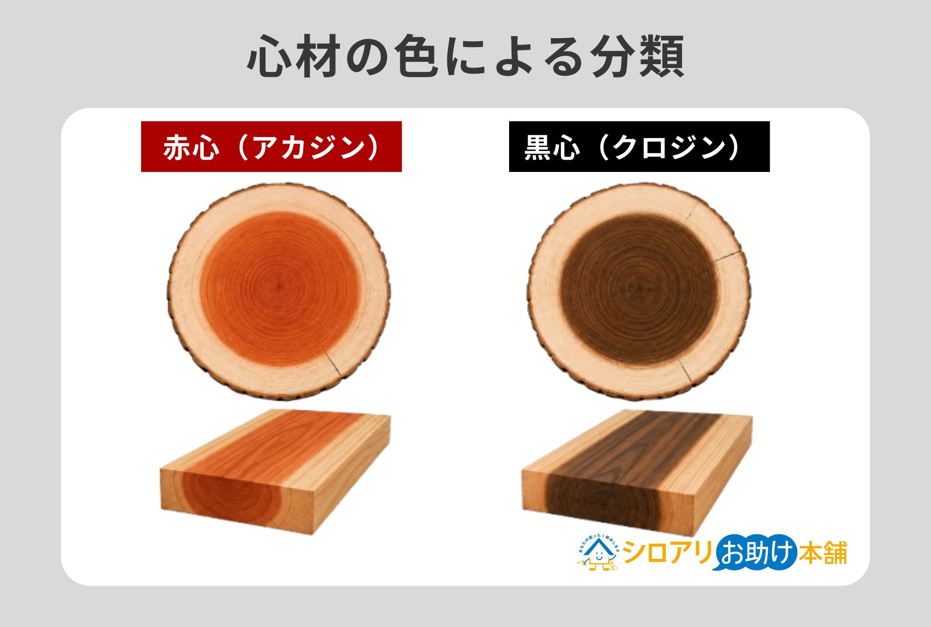 心材の色による分類
