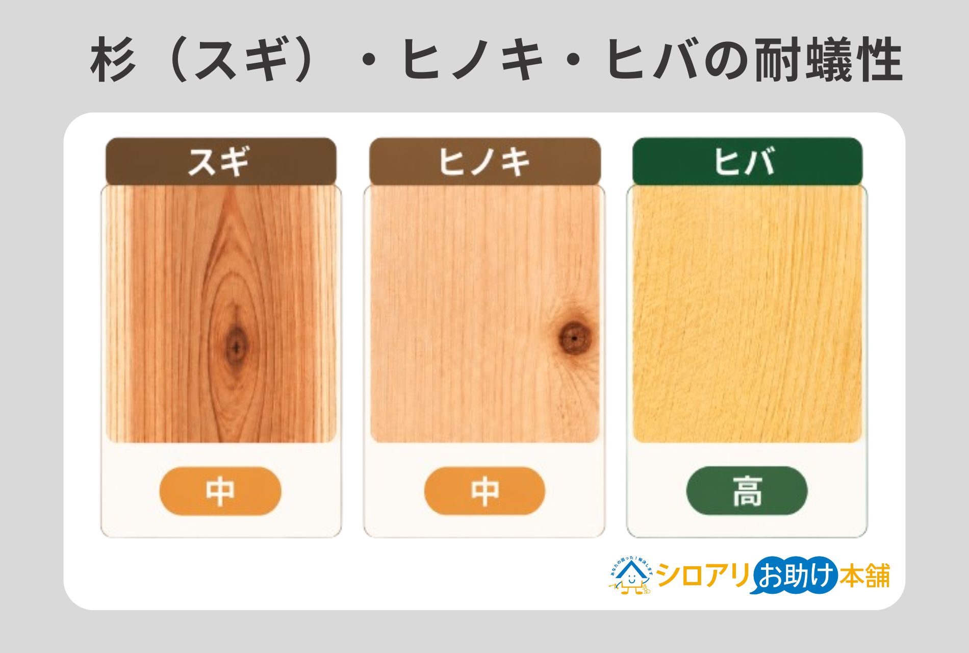 杉（スギ）・ヒノキ・ヒバの耐蟻性の比較