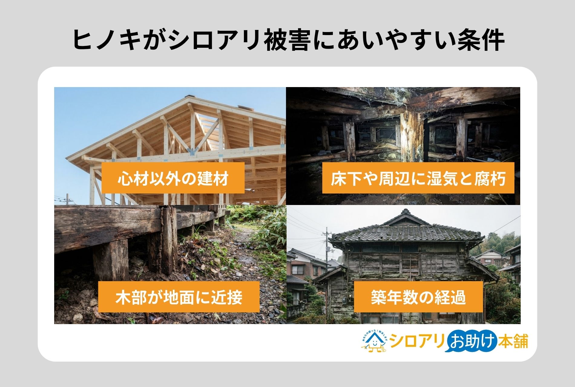 ヒノキがシロアリ被害にあいやすい条件