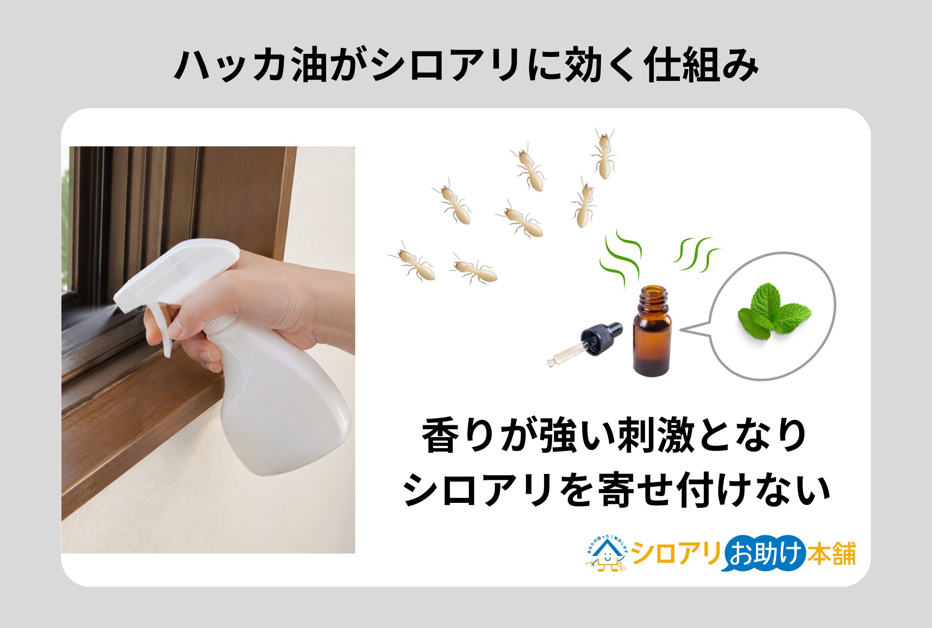 シロアリにハッカ油が効くとされる仕組み