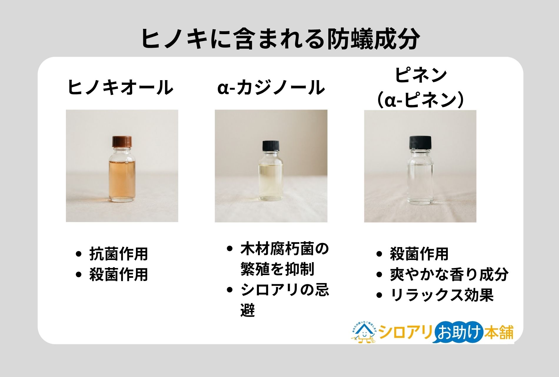 ヒノキに含まれる防蟻成分