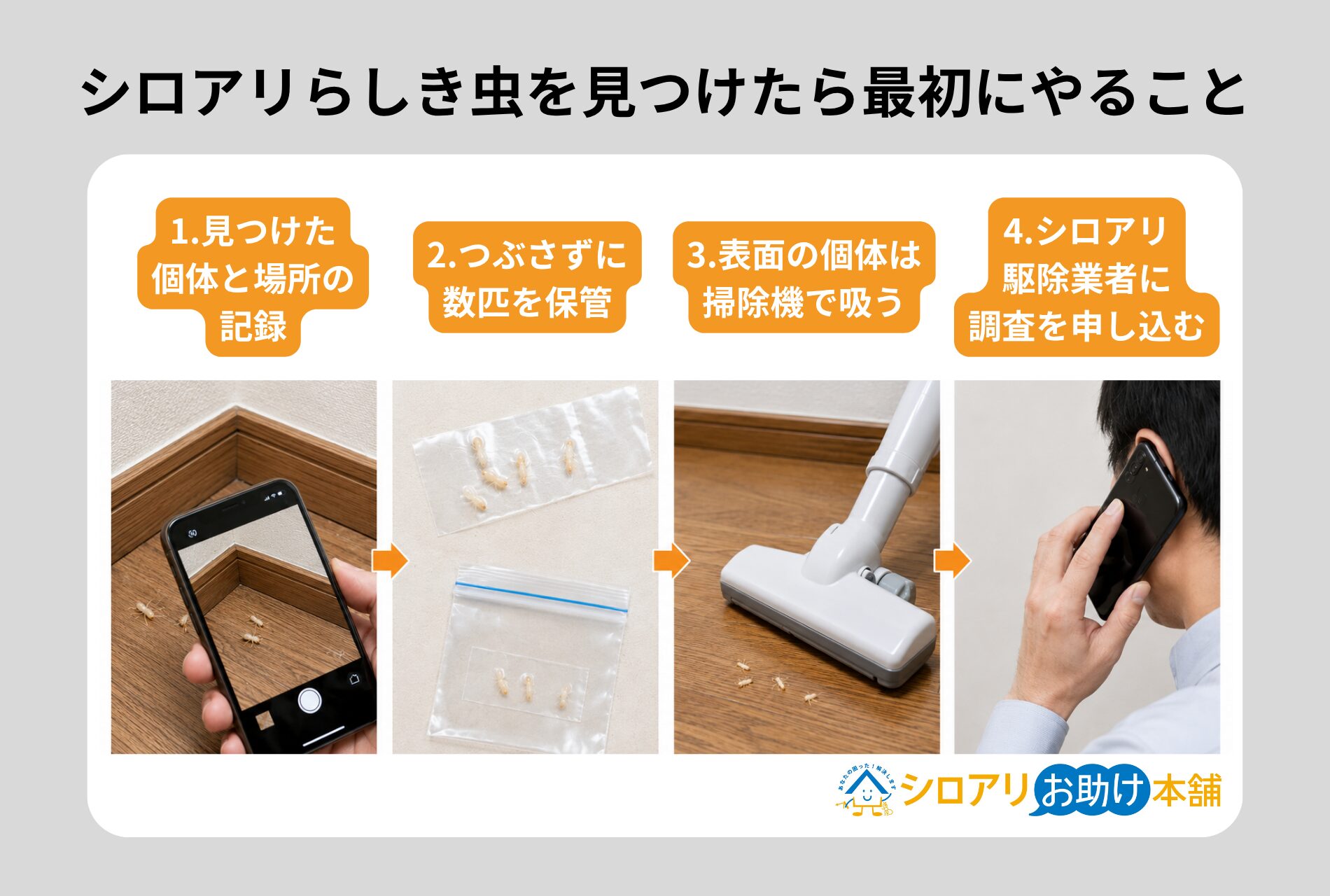 シロアリの幼虫らしき虫を見つけたら最初にやること