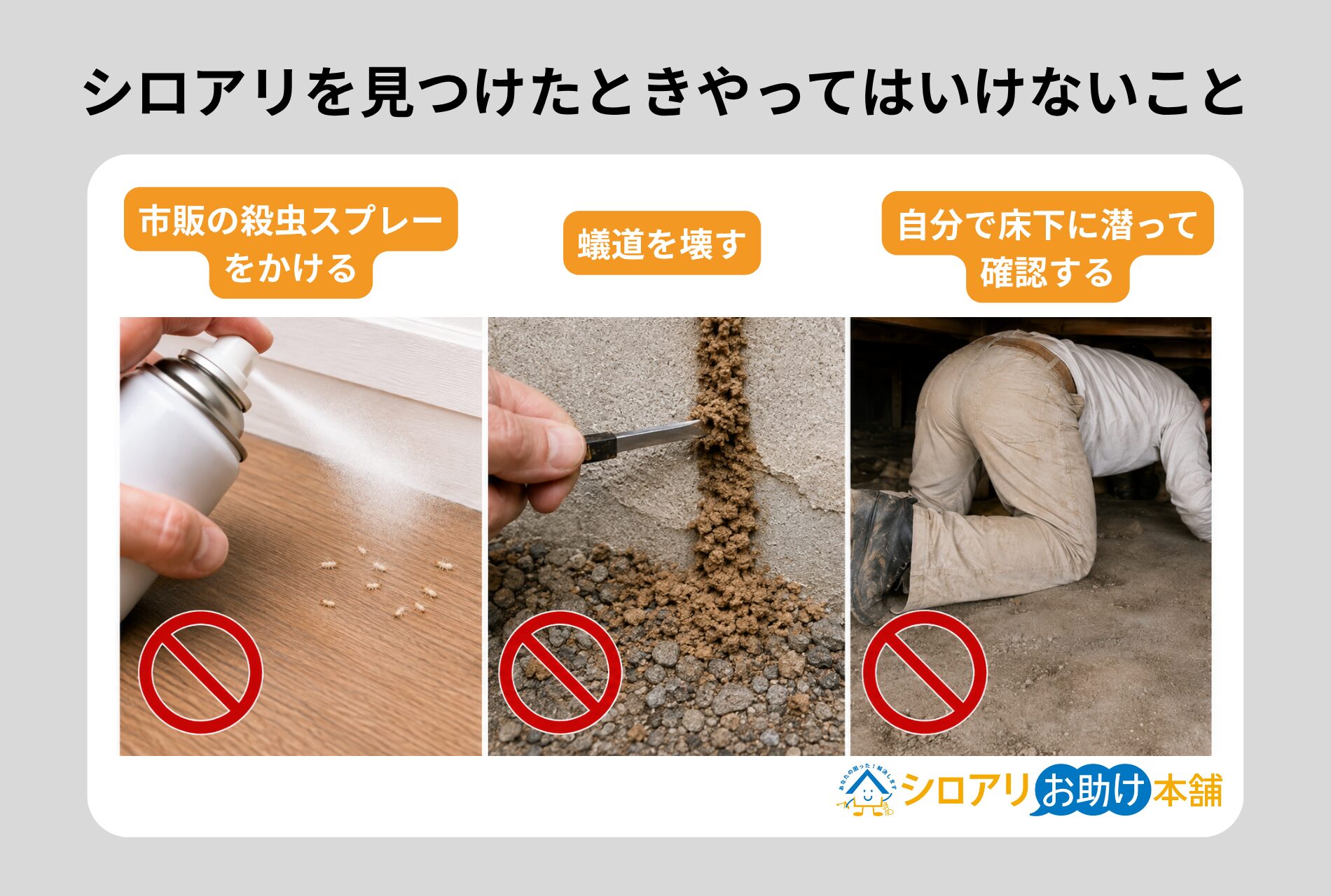 シロアリの幼虫らしき虫を見つけたらやってはいけないこと