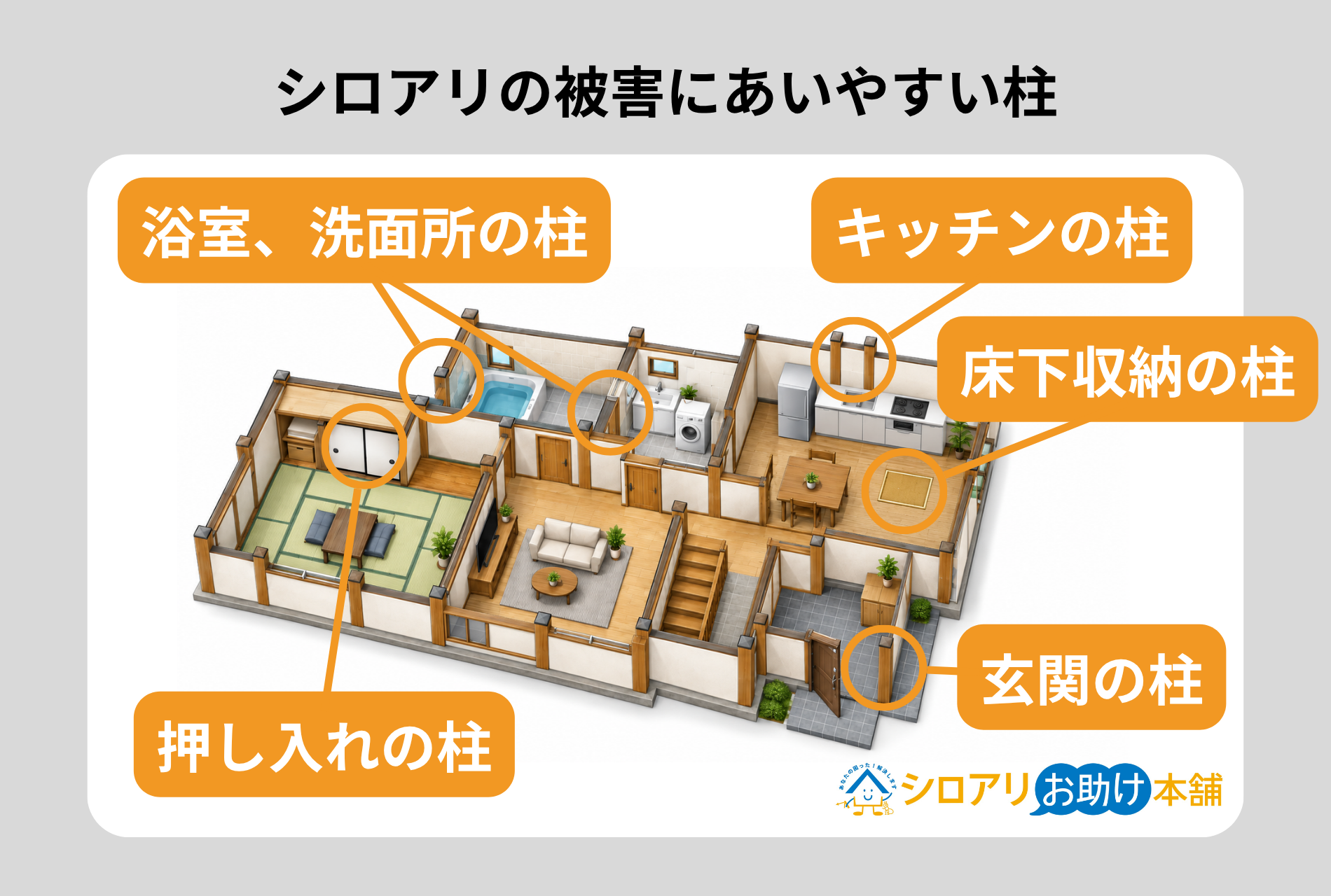 シロアリの被害にあいやすい柱