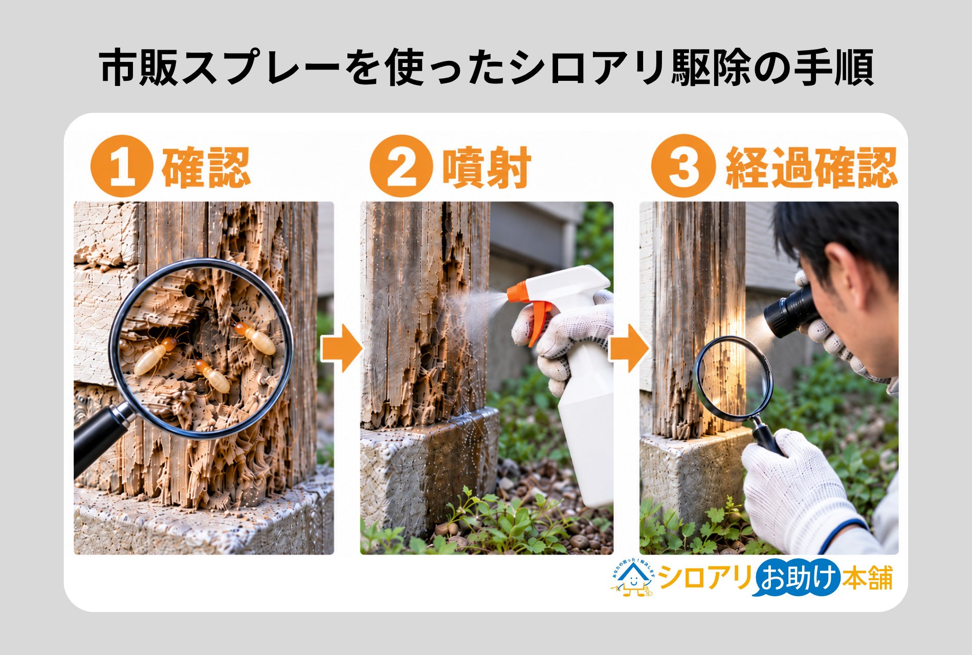 市販スプレーを使ったシロアリ駆除の方法