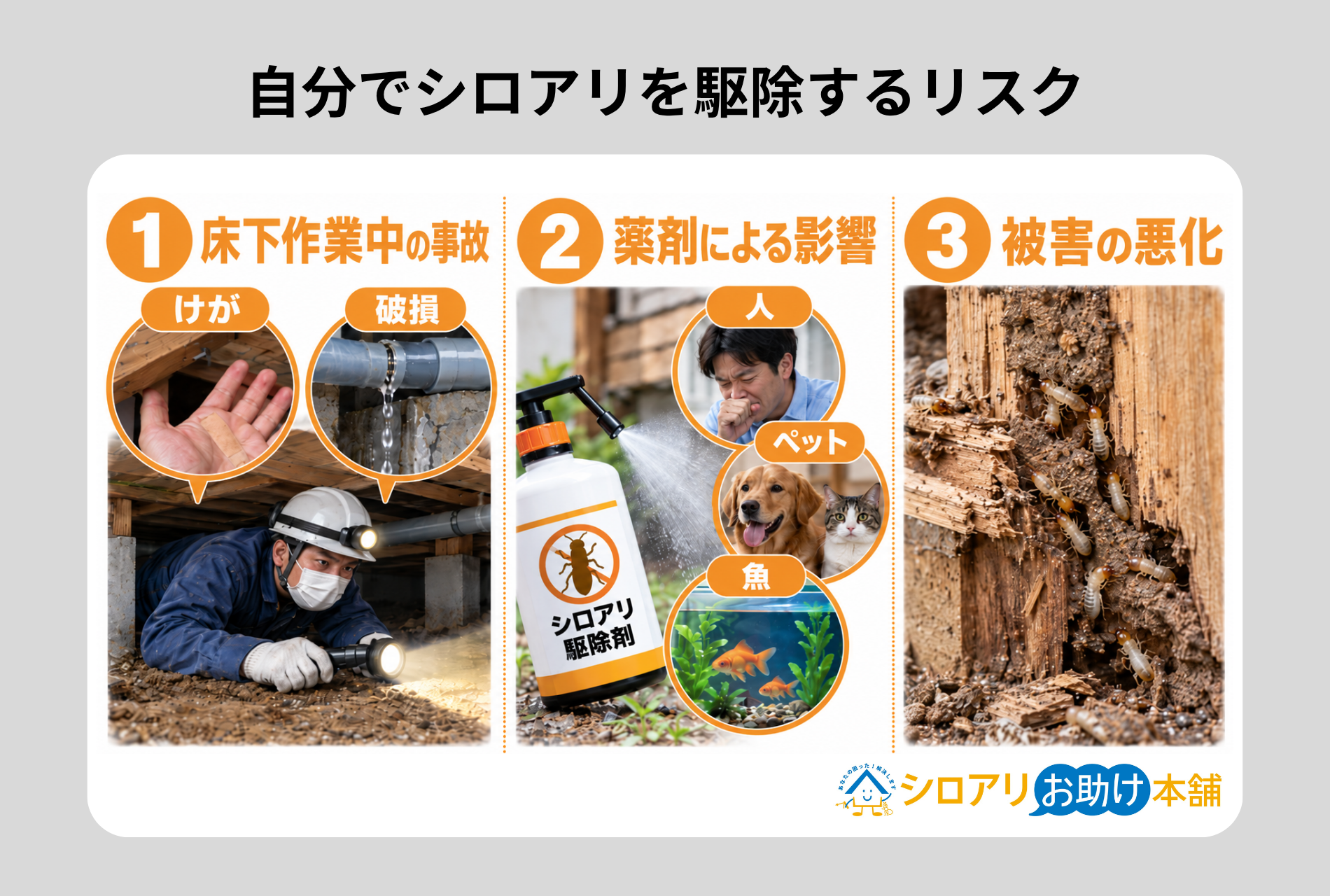 自分でシロアリを駆除するときの注意点とリスク