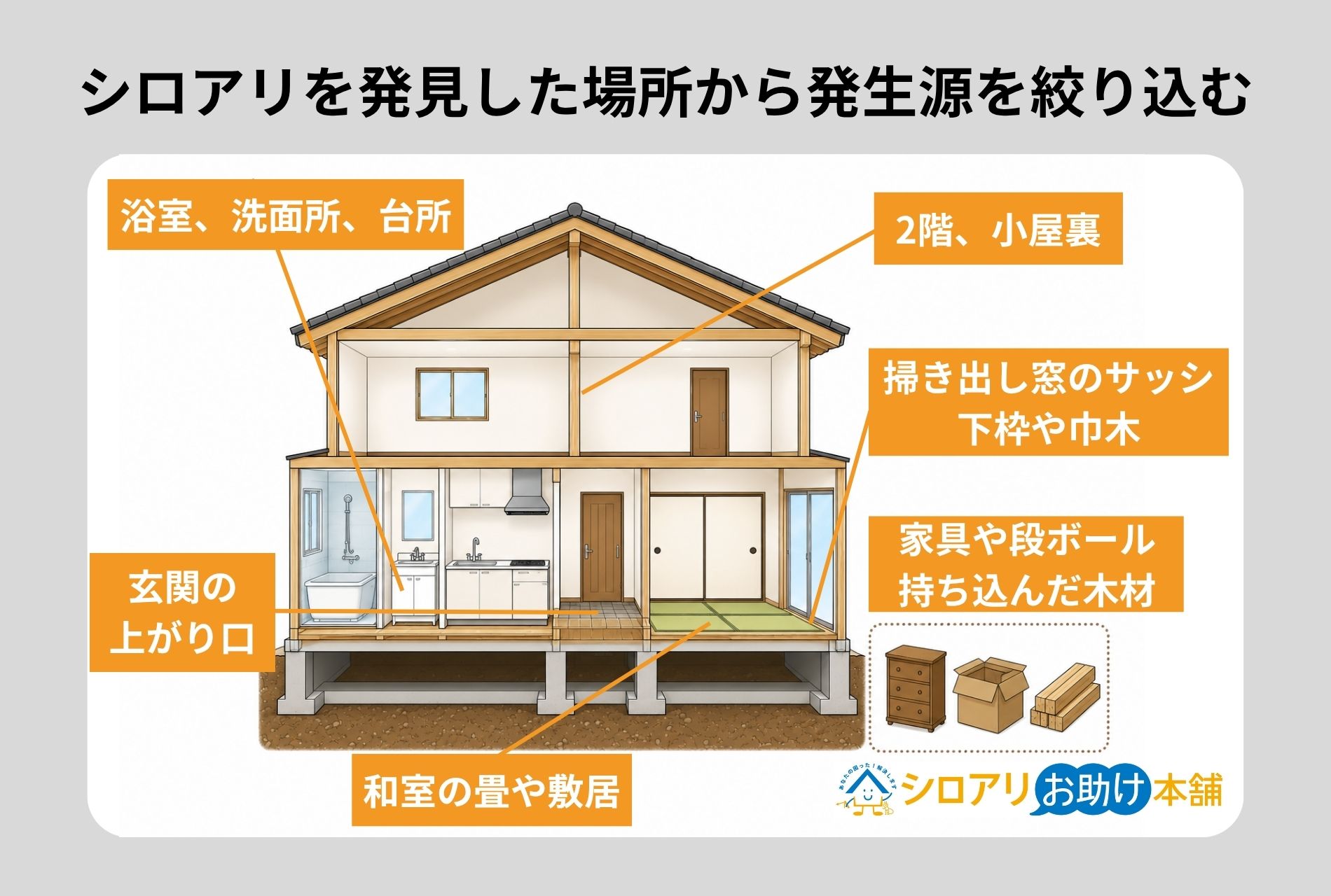 シロアリを発見した場所から発生源を絞り込む